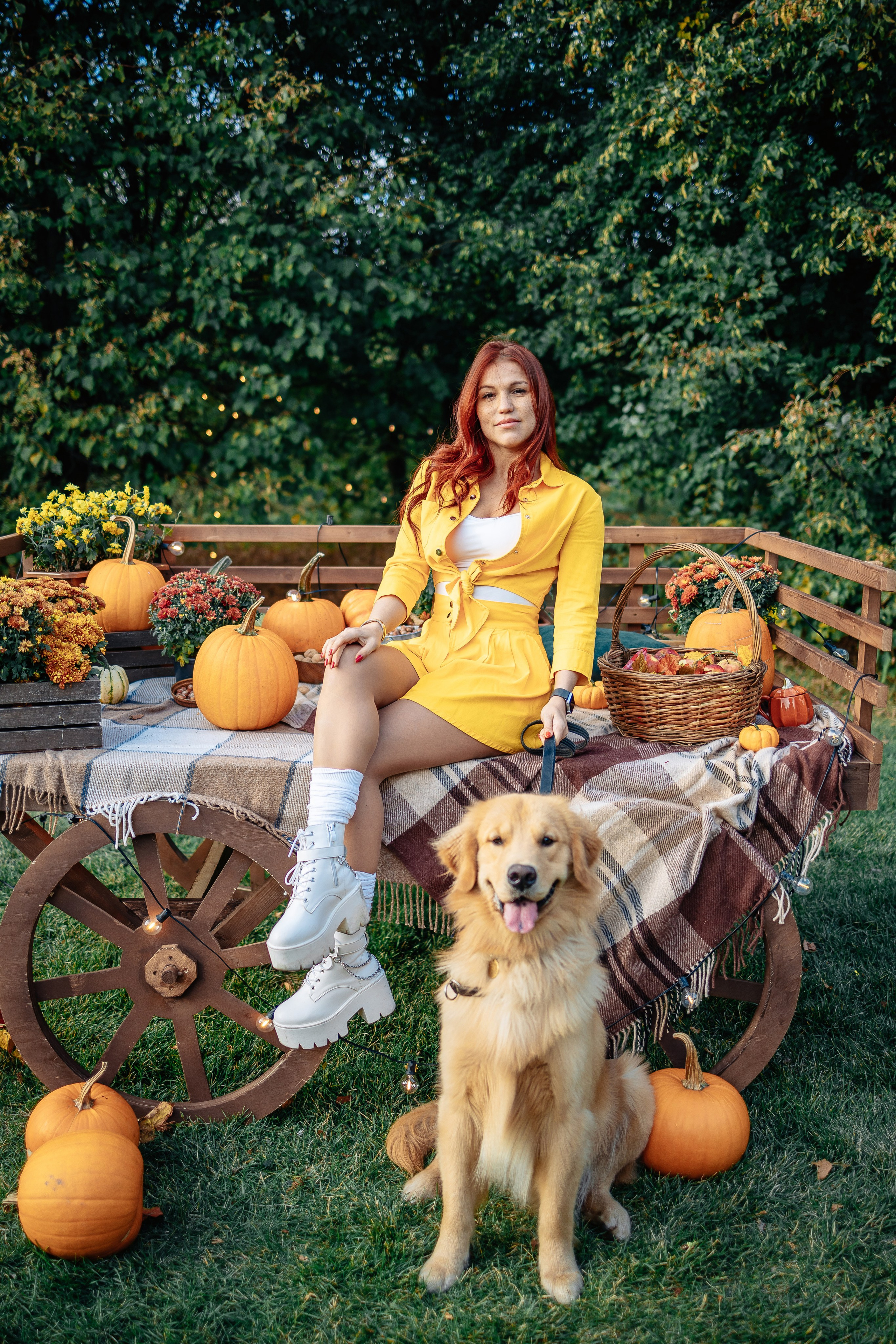 Фотосессия с собаками