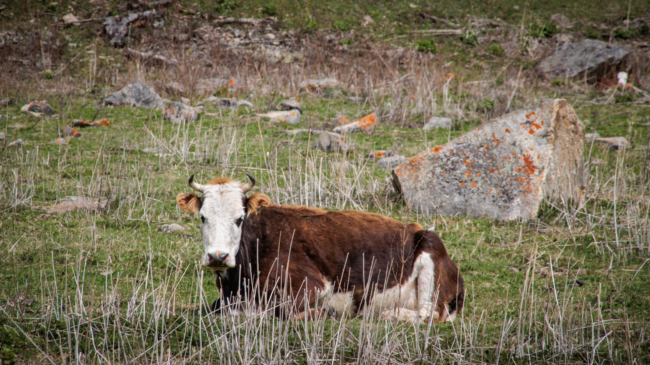 Трекинг / Ирик. Фотограф на трекинг и восхождение Эльбрус, Приэльбрусье. Елизавета Бобок
