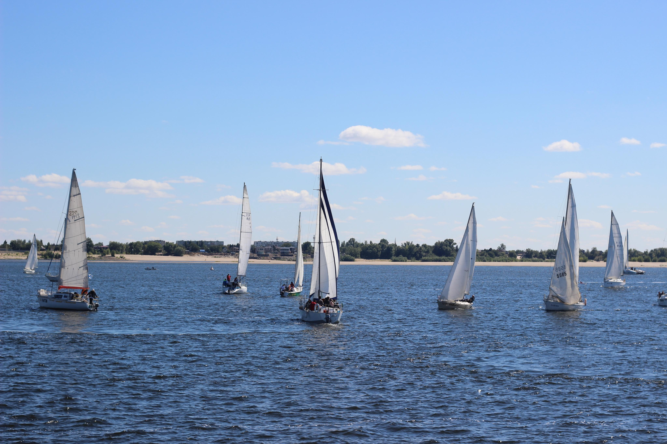 Спорт. Shmeleva.ph Фотограф Волгоград и Волжский — Анна Шмелева