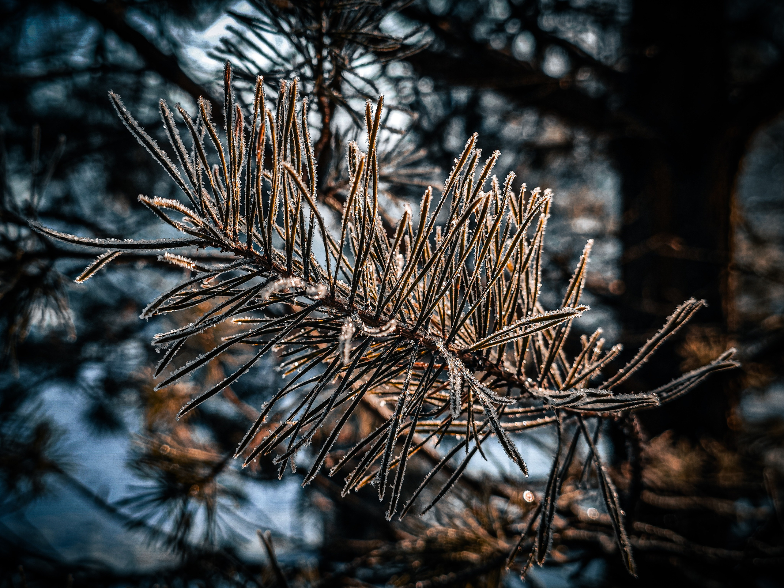 Скоро лето. Игорь Урывский. Фотограф Красноярск
