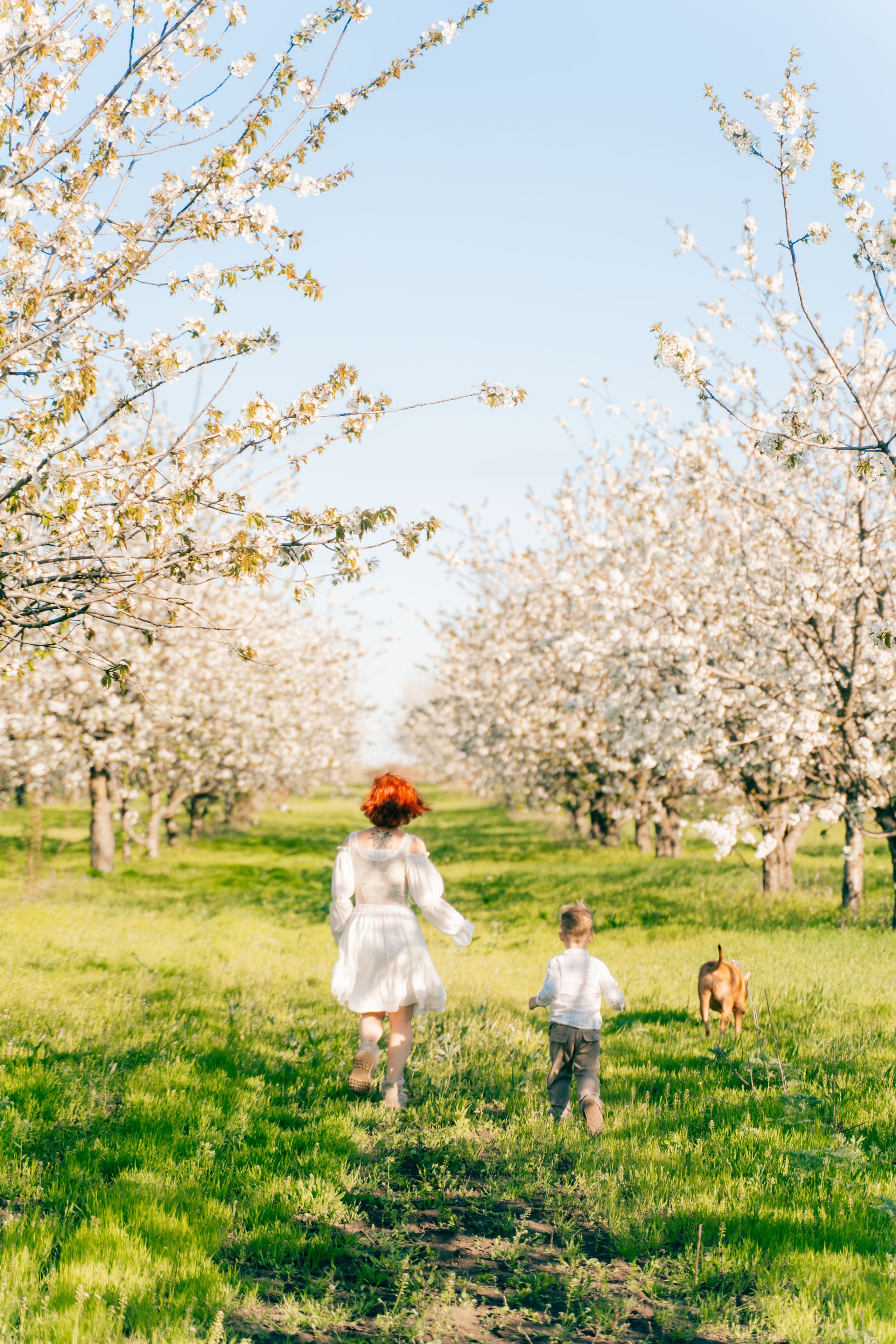 Цветущие сады. Семейный фотограф Новочеркасск