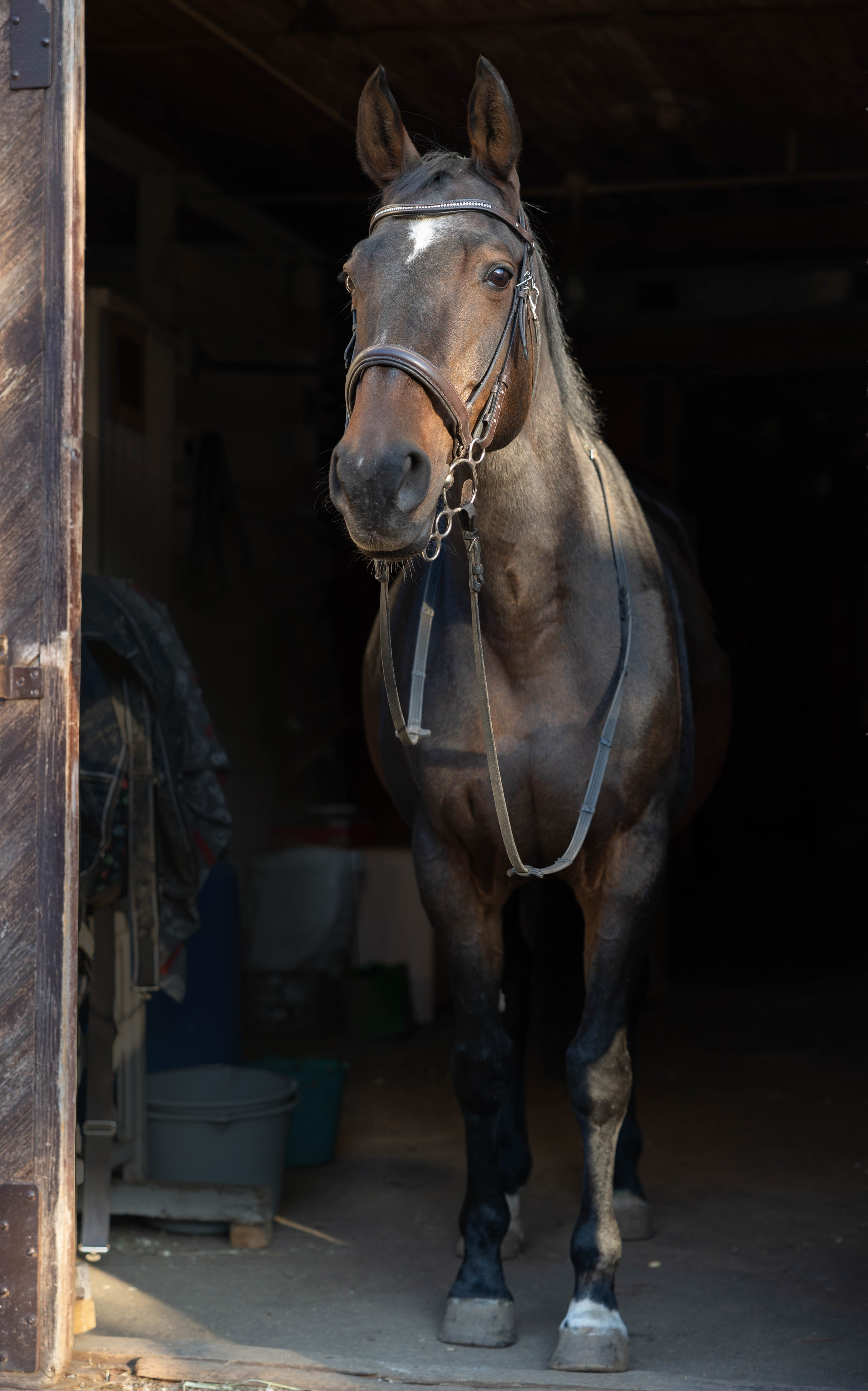 Elia. ITMAG.ME | Visual Art