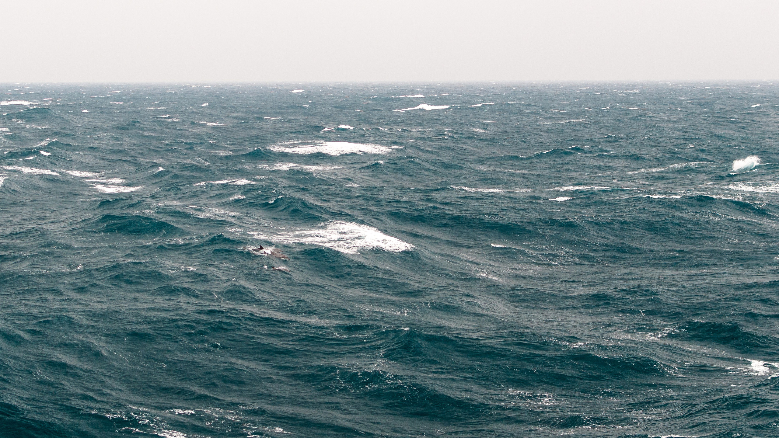 Пейзажи. Фотограф в Москве