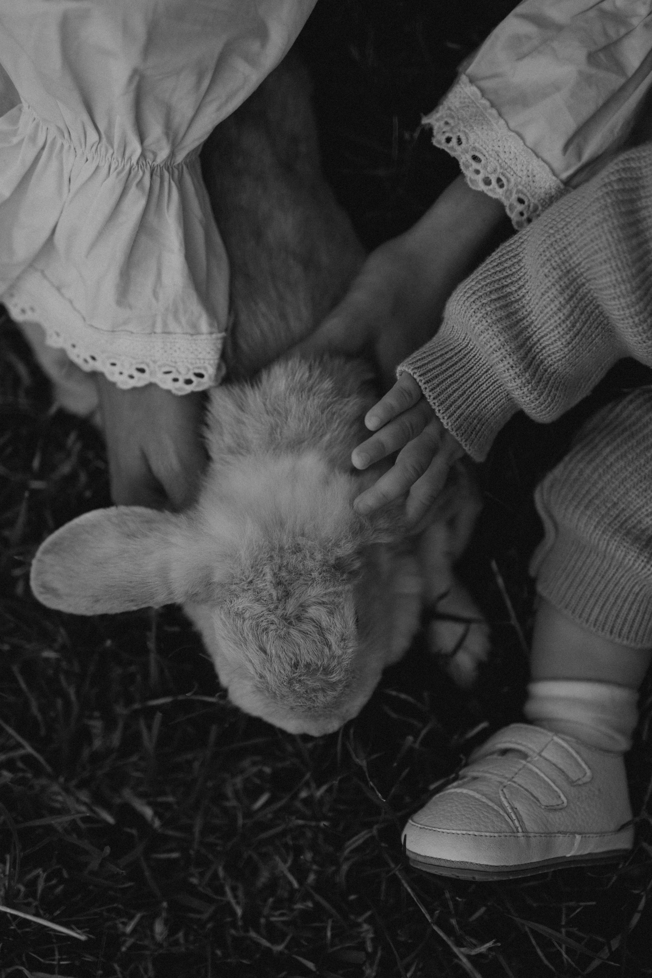 Семейная. Фотораф — анималист Мария Шистка