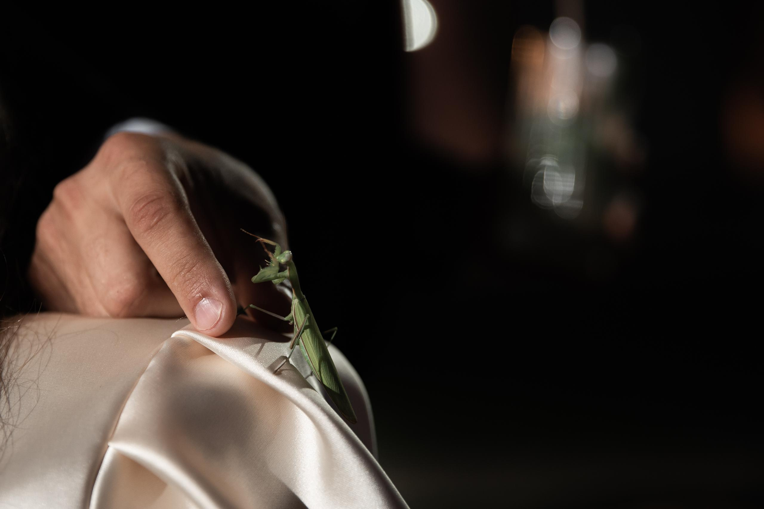 День Рождения Катерины Черешко. Свадебный фотограф в Минске в Москве в РБ Анатолий Полишко