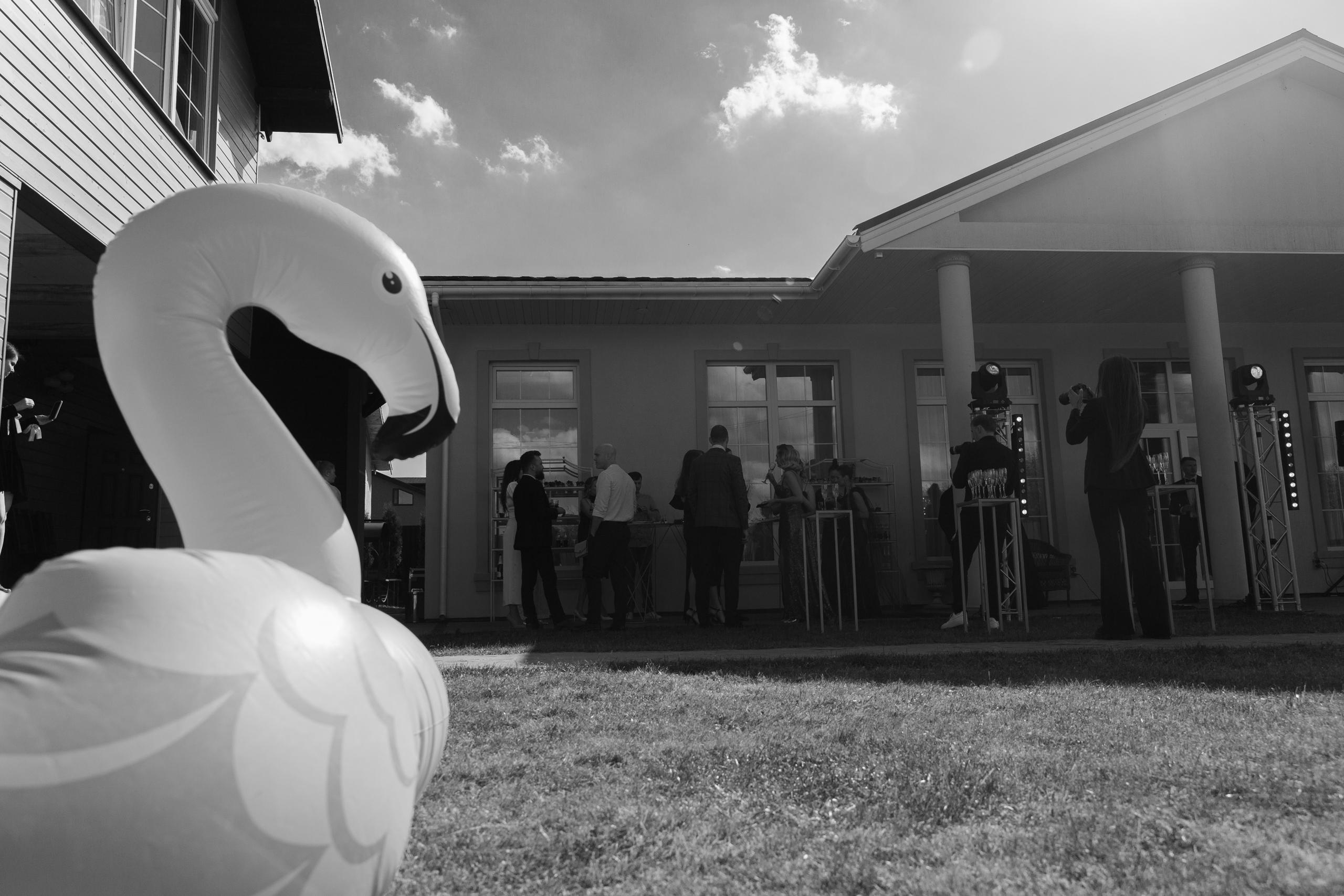 День Рождения Катерины Черешко. Свадебный фотограф в Минске в Москве в РБ Анатолий Полишко