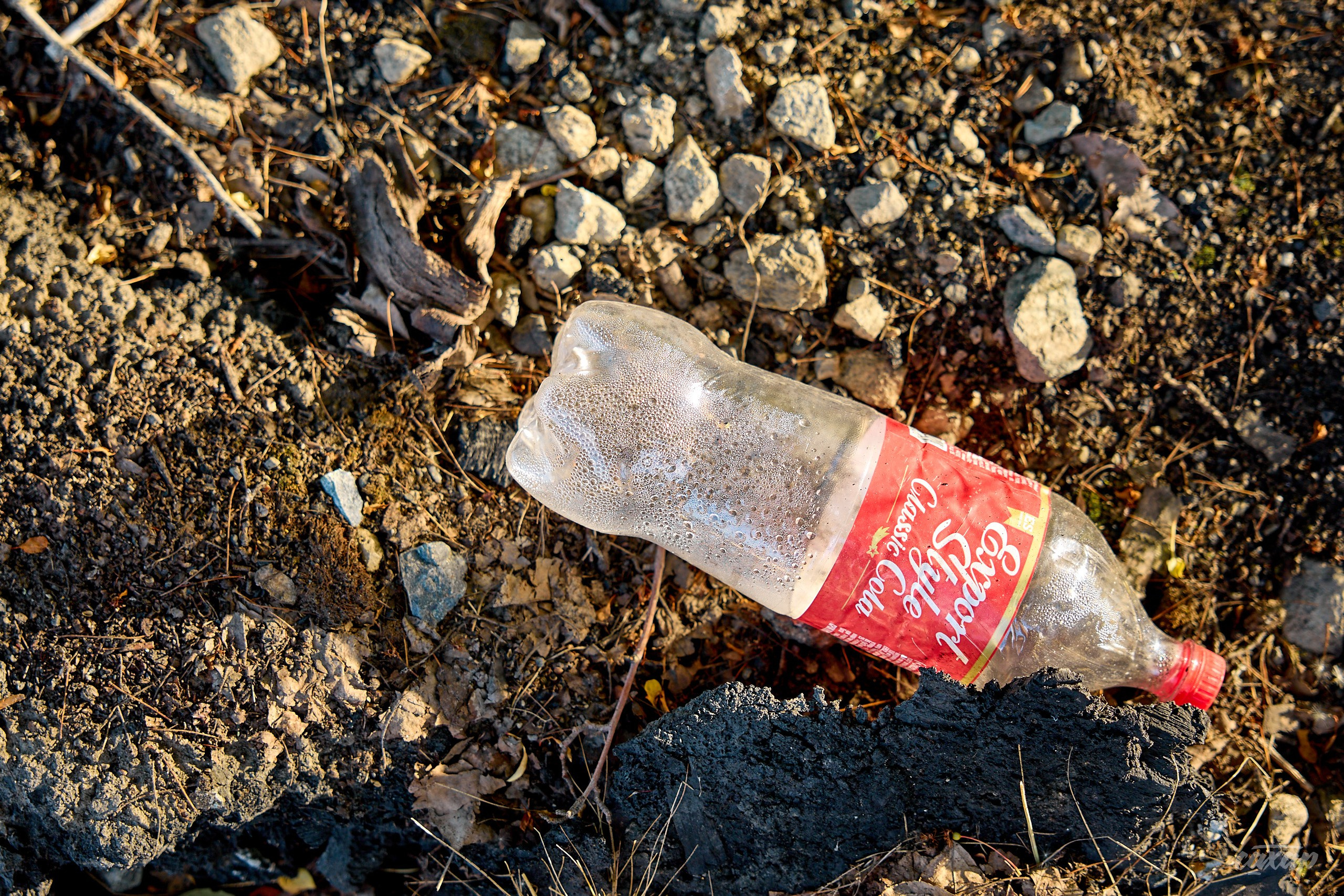 Что вижу, то и пою! от 2024_06_11. Профессиональный фотограф в Екатеринбурге Юра Сахар