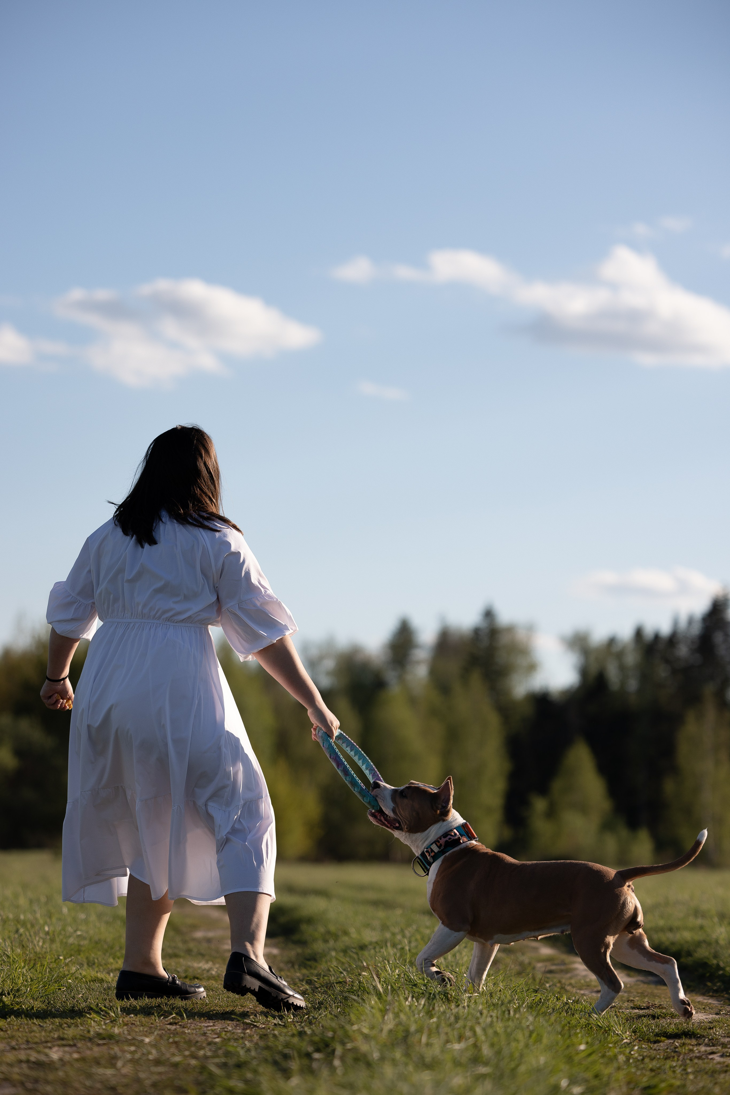Шуня и ее семья. Фотограф и видеограф анималист Аганина Дарья