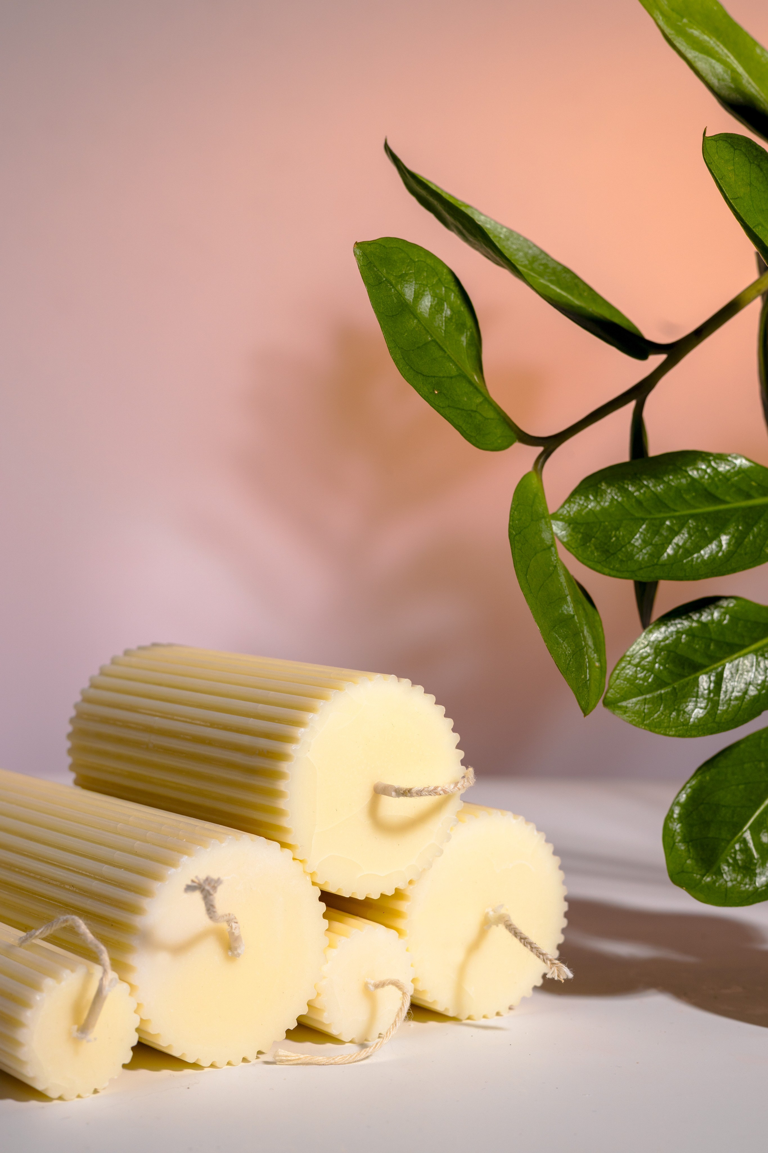 Предметная съёмка в Алматы — фотограф для товаров и каталога. Фотограф Алматы