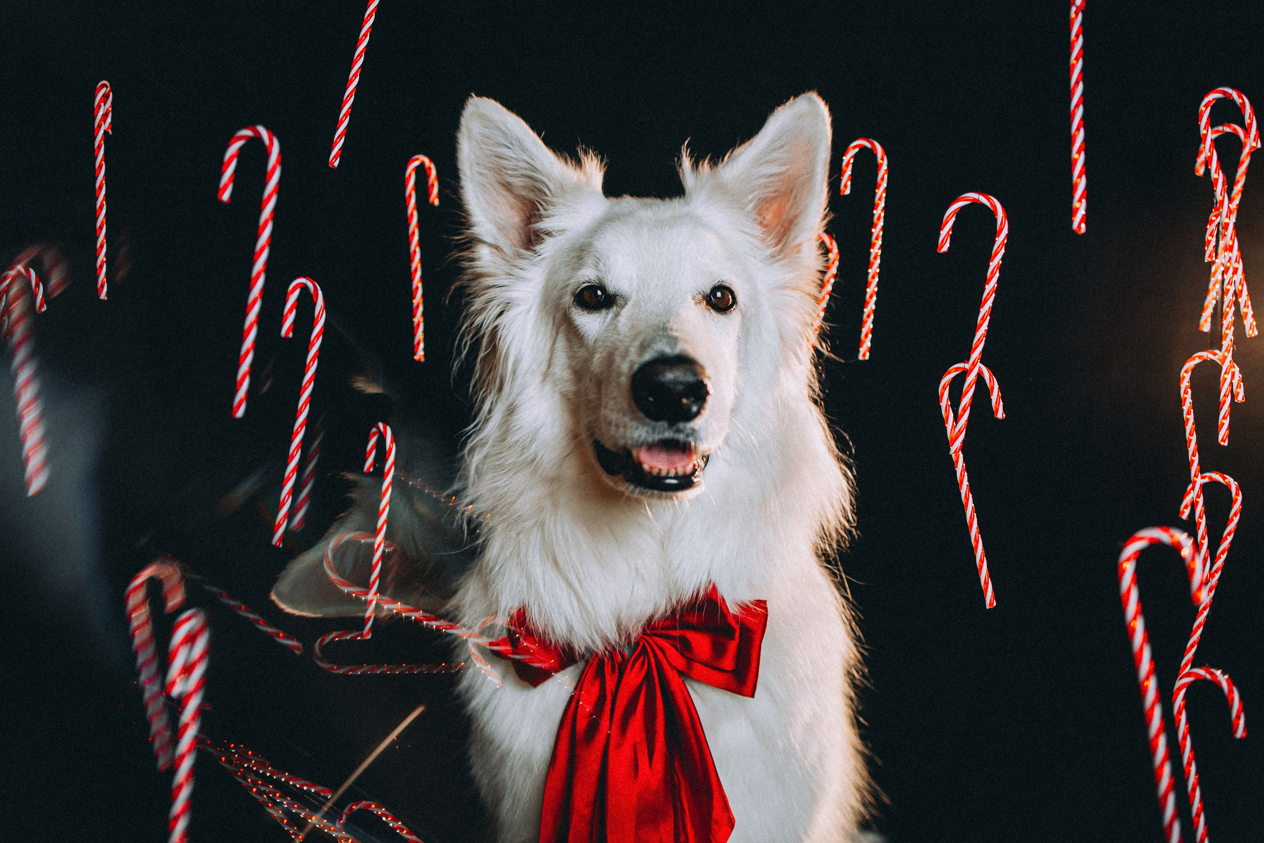 Джек, Бет и Кову