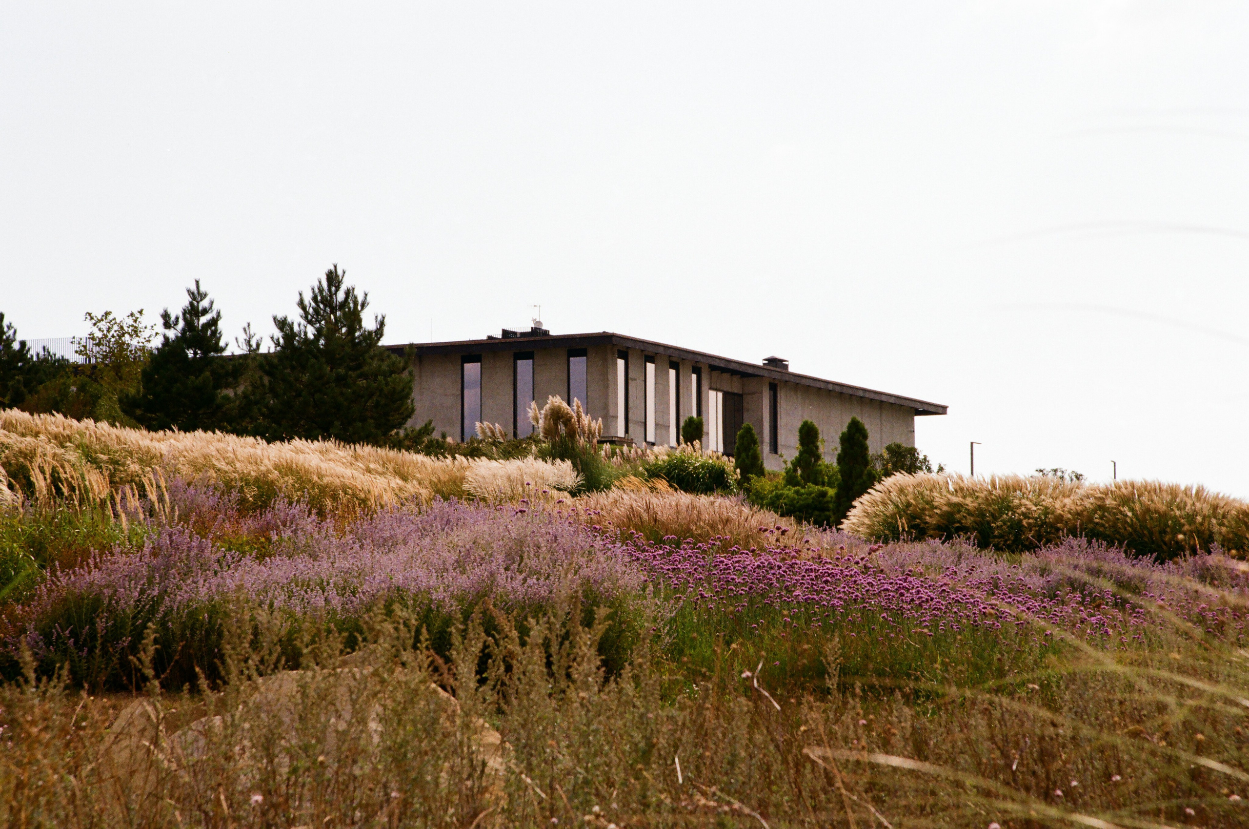 Gai-Kodzor Winery Landscape. Ekaterina Symidi. Interior Photographer