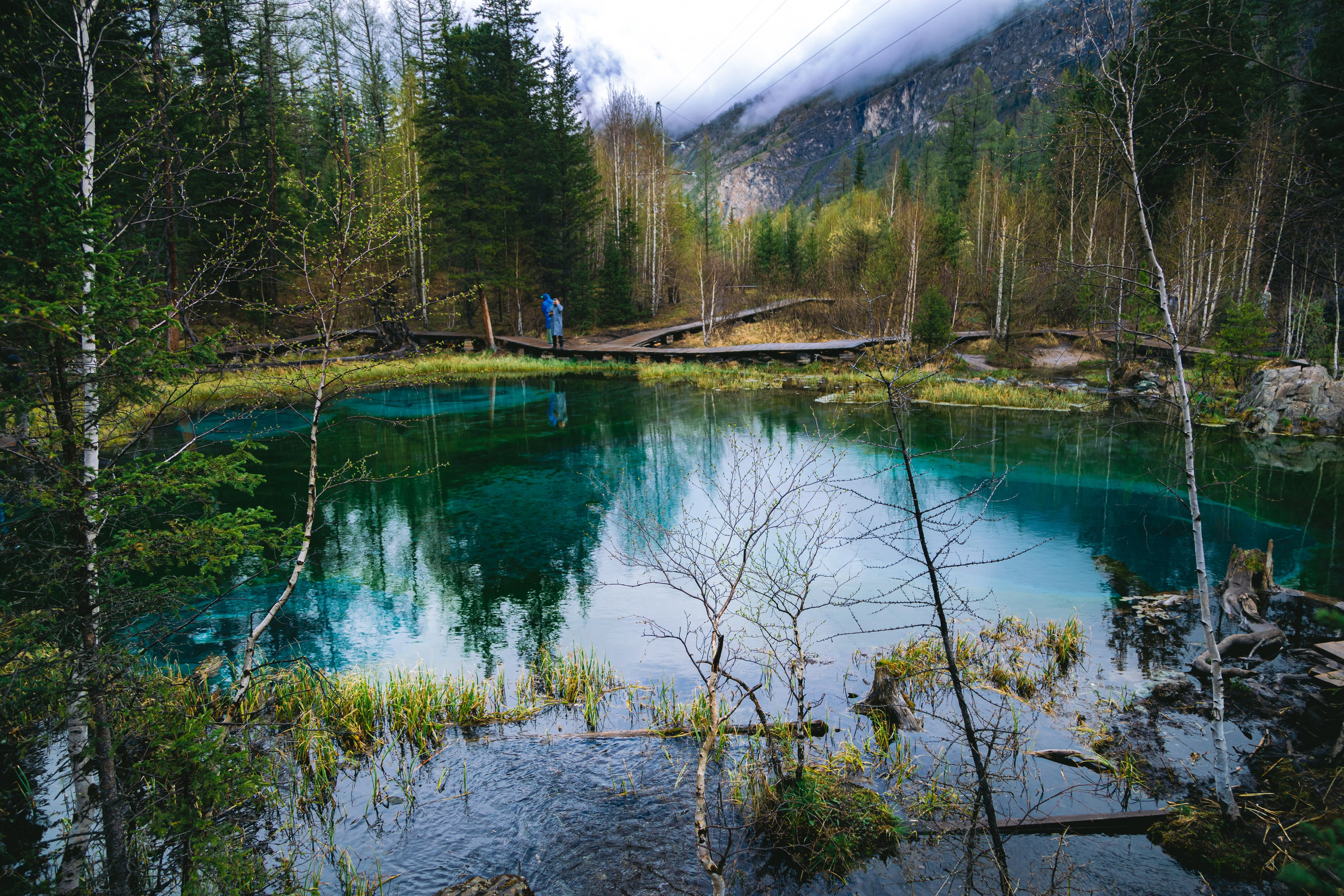 Алтай (май 2024). Фотограф ваших событий в Красноярске — Макс Захарченко