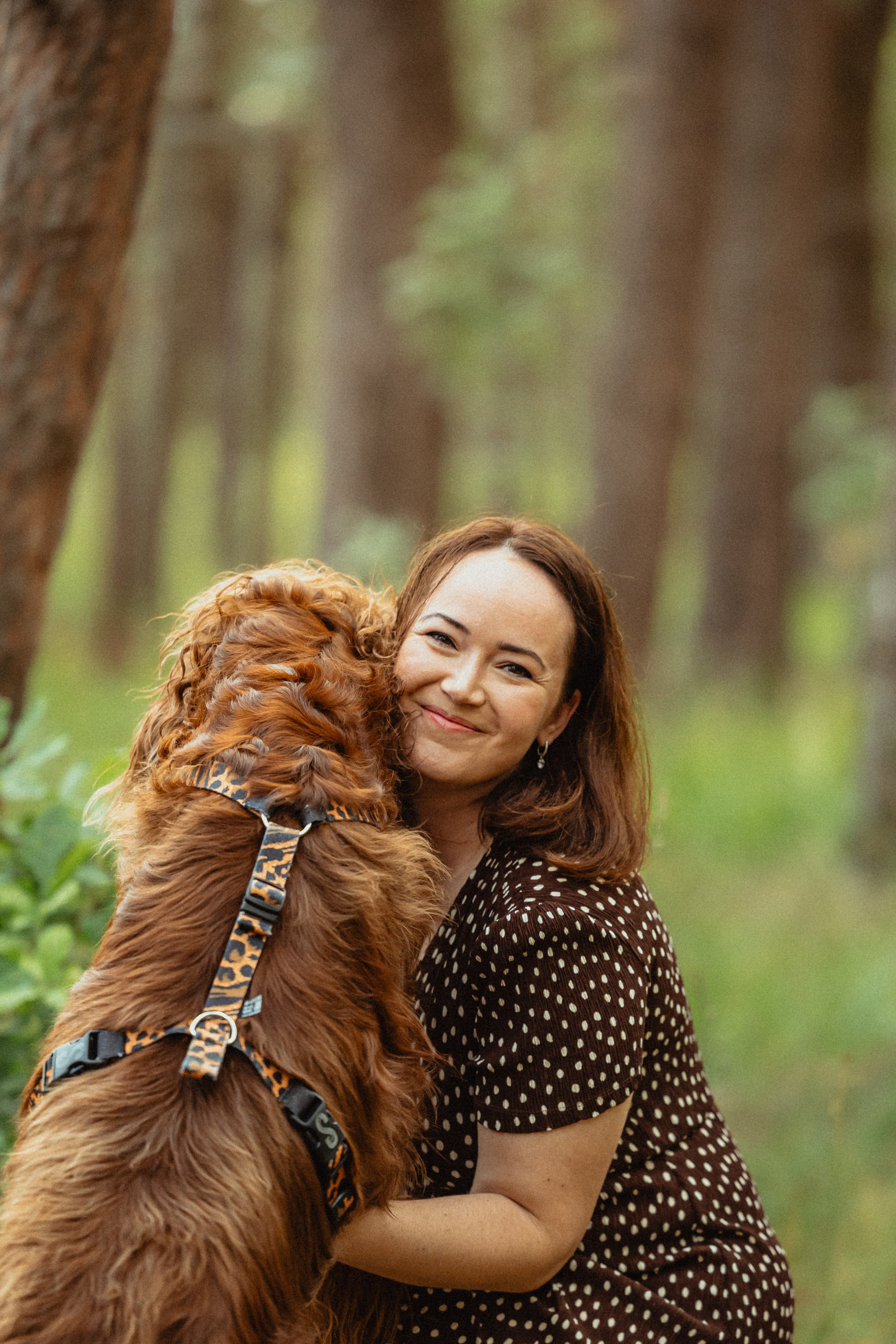 Выездной дог-тренинг от школы «Шерсть имею»