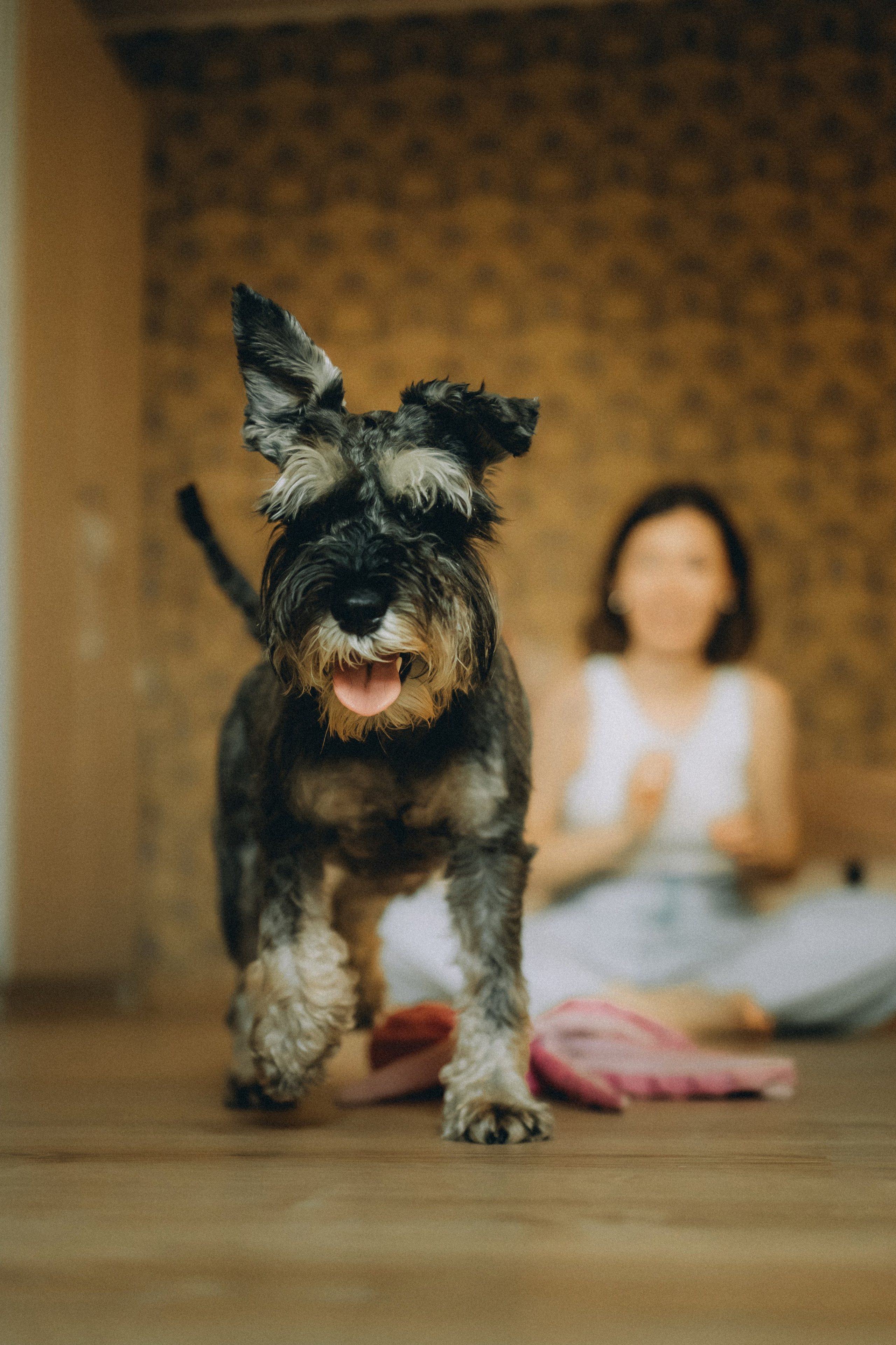 Лена и Зефир