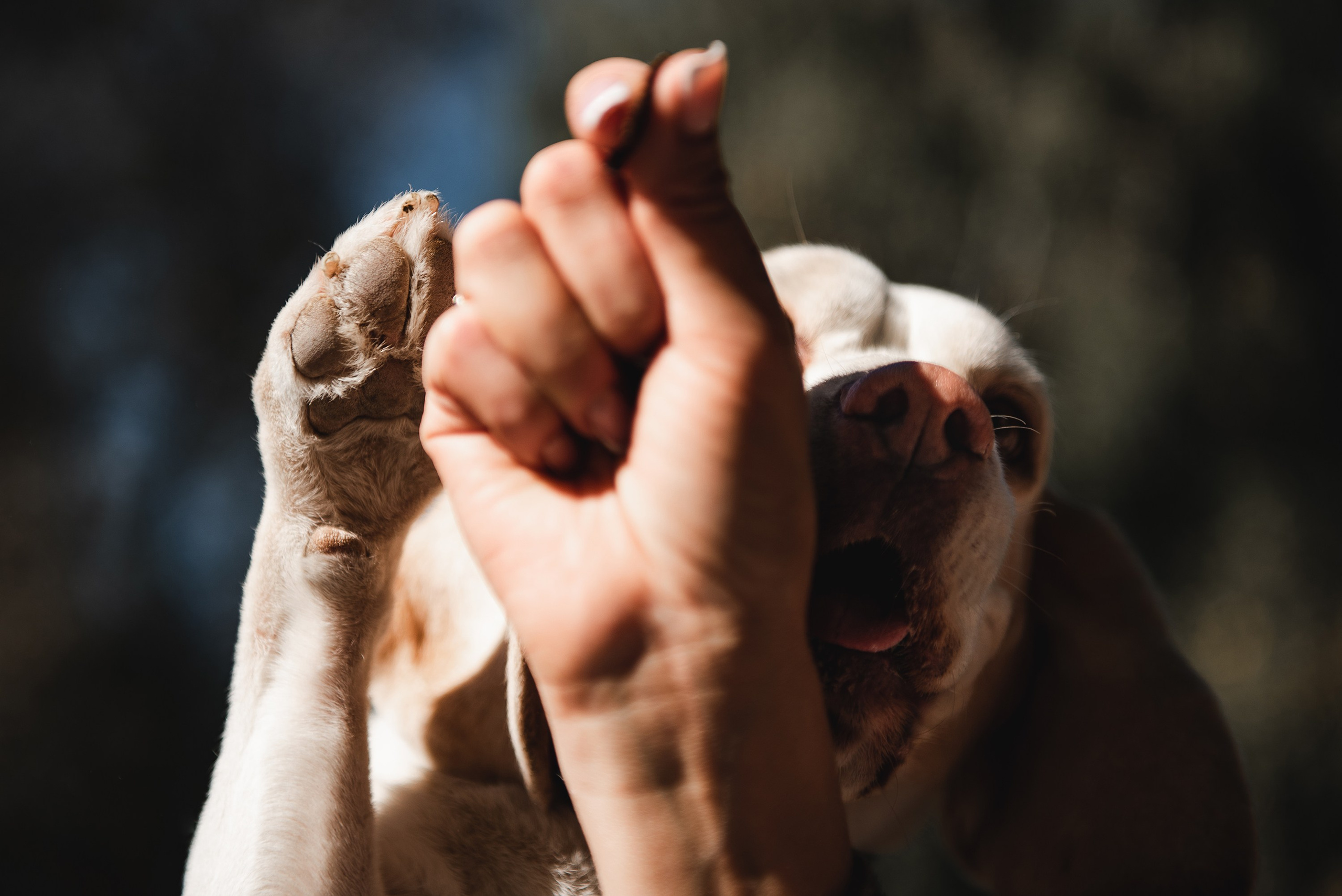 Оля и Ника. Семейный Фотограф в Москве Ирина Хохлова