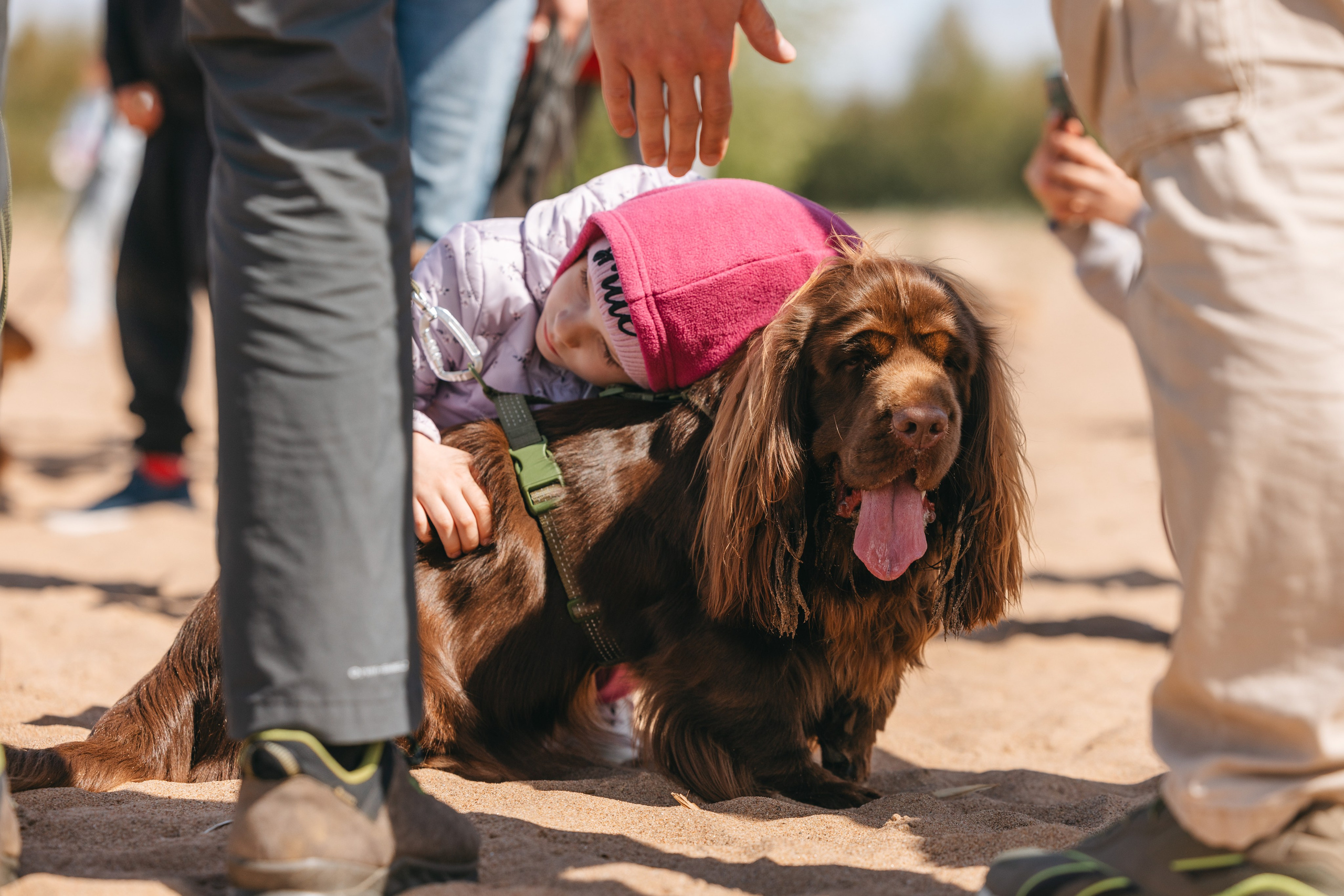 Спанимания. Фотограф анималист Осипчикова Мария