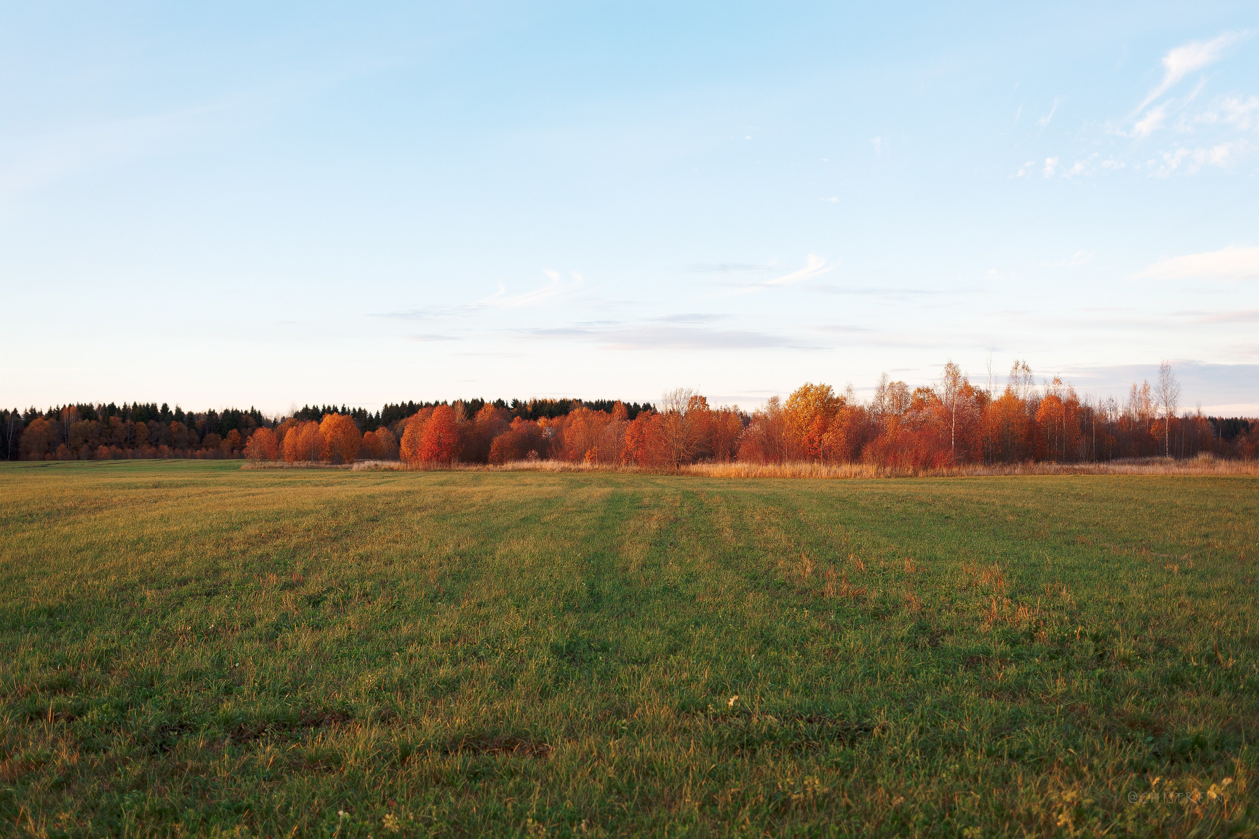 Октябрьский закат в полях. Алина и Лео. Фотограф-анималист Наталия Чистюхина в г. Сосновый Бор и ЛО