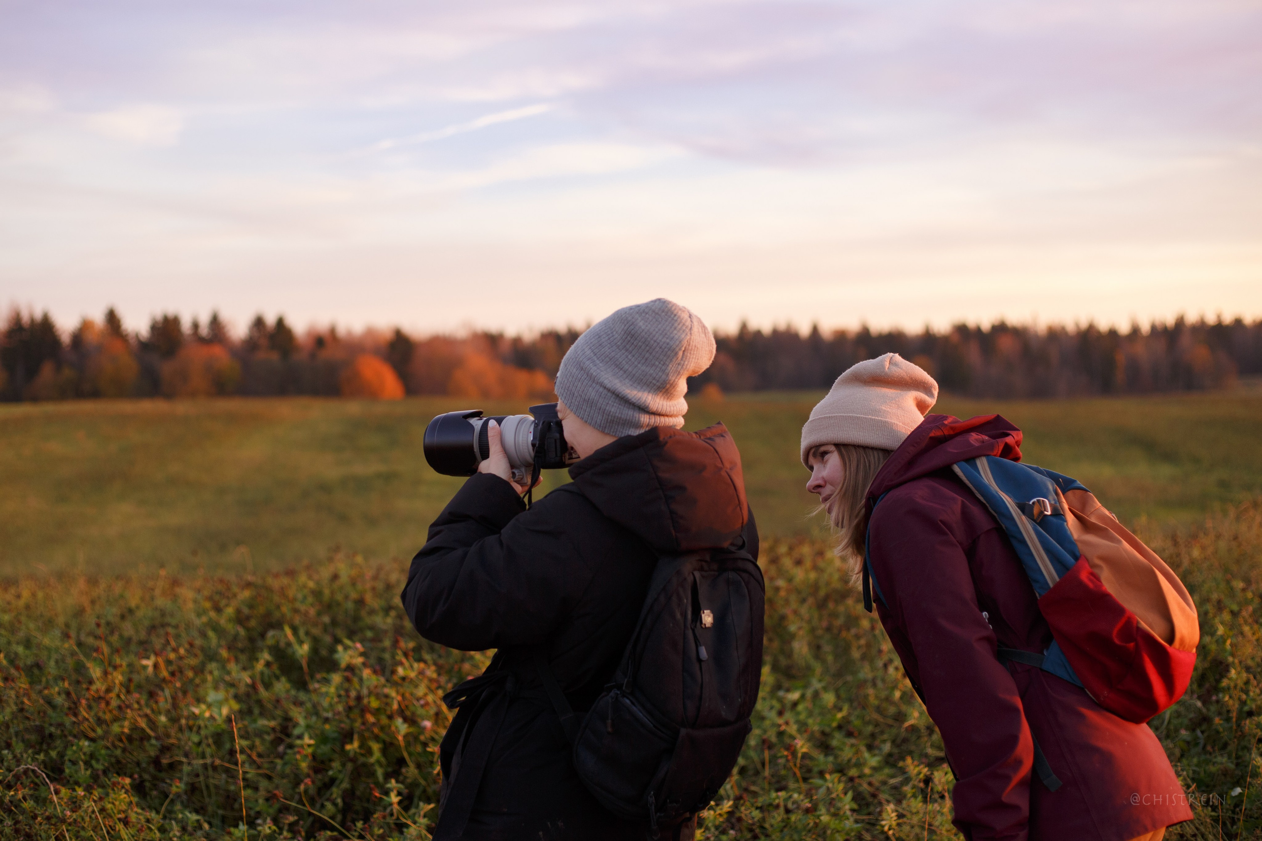 Октябрьский закат в полях. Алина и Лео. Фотограф-анималист Наталия Чистюхина в г. Сосновый Бор и ЛО