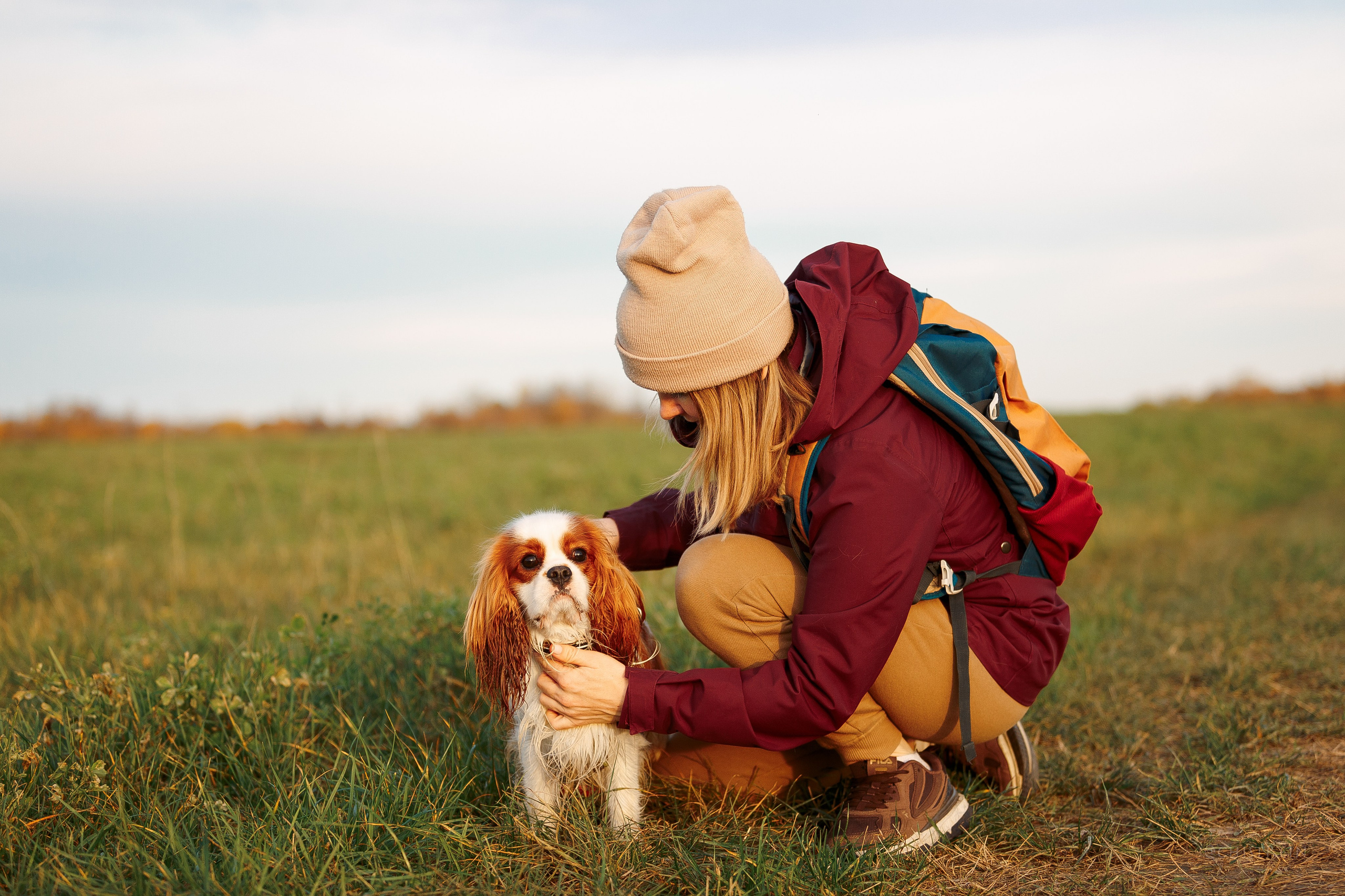 Октябрьский закат в полях. Алина и Лео. Фотограф-анималист Наталия Чистюхина в г. Сосновый Бор и ЛО