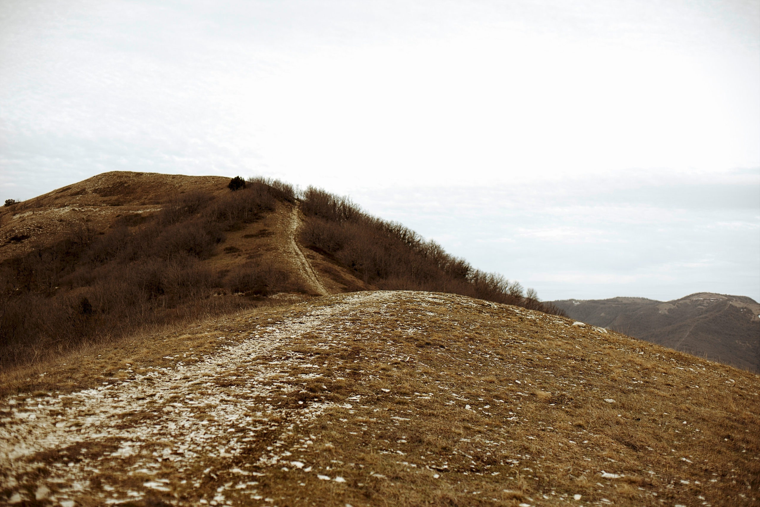 Дороги Ветра. Анастасия Либерти