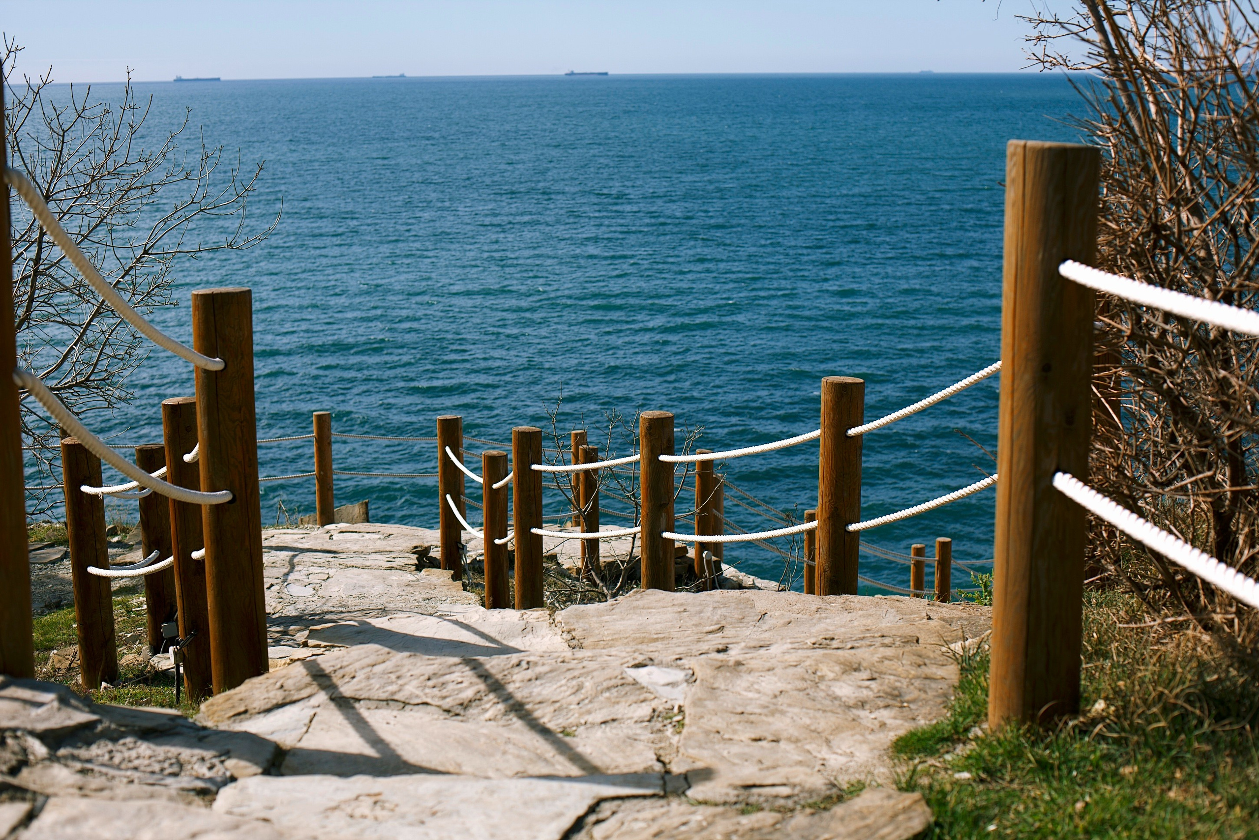 Ася Воробьёва. Анастасия Либерти