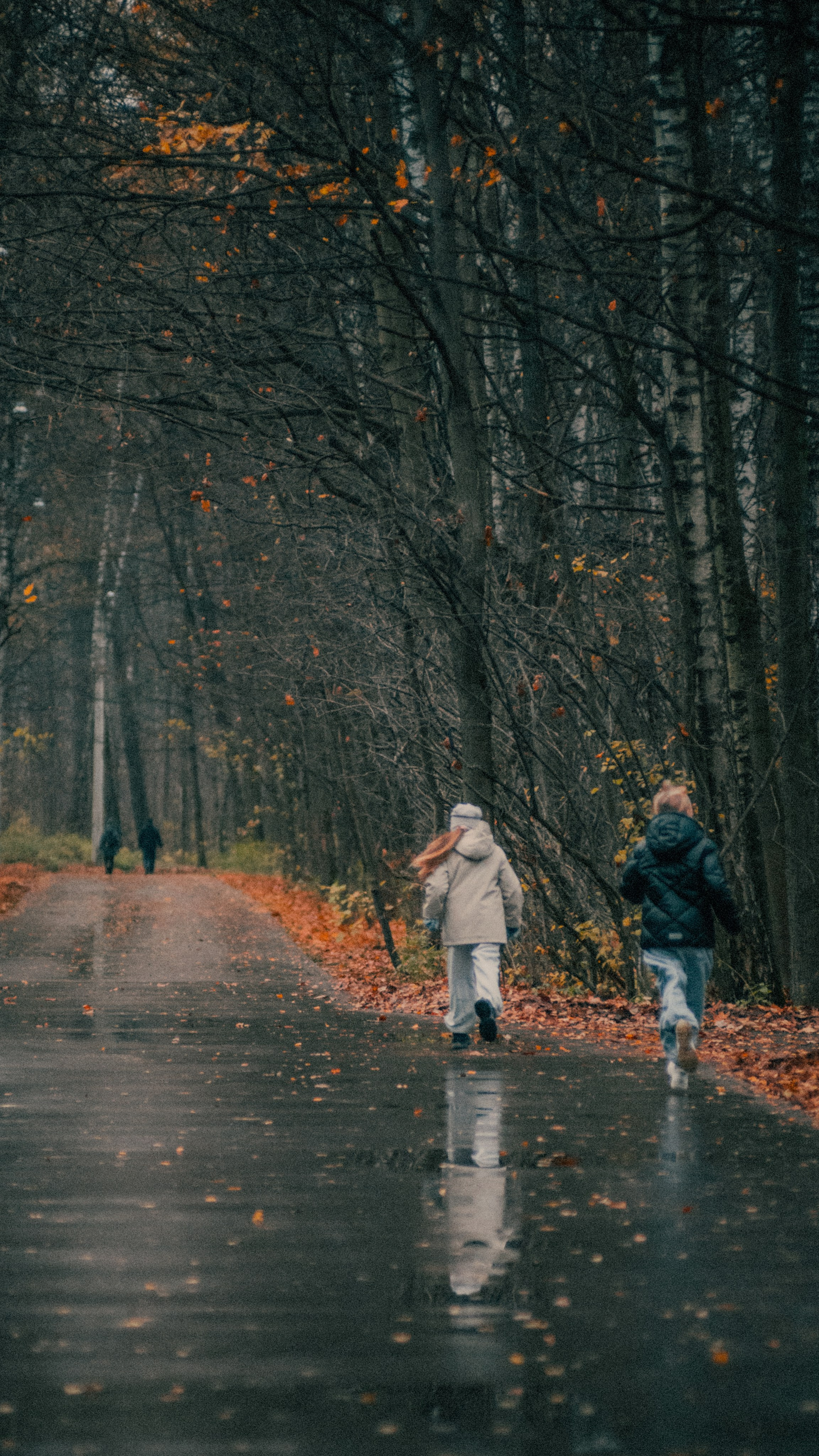 Autumn mood. MadGoose — Street photographer