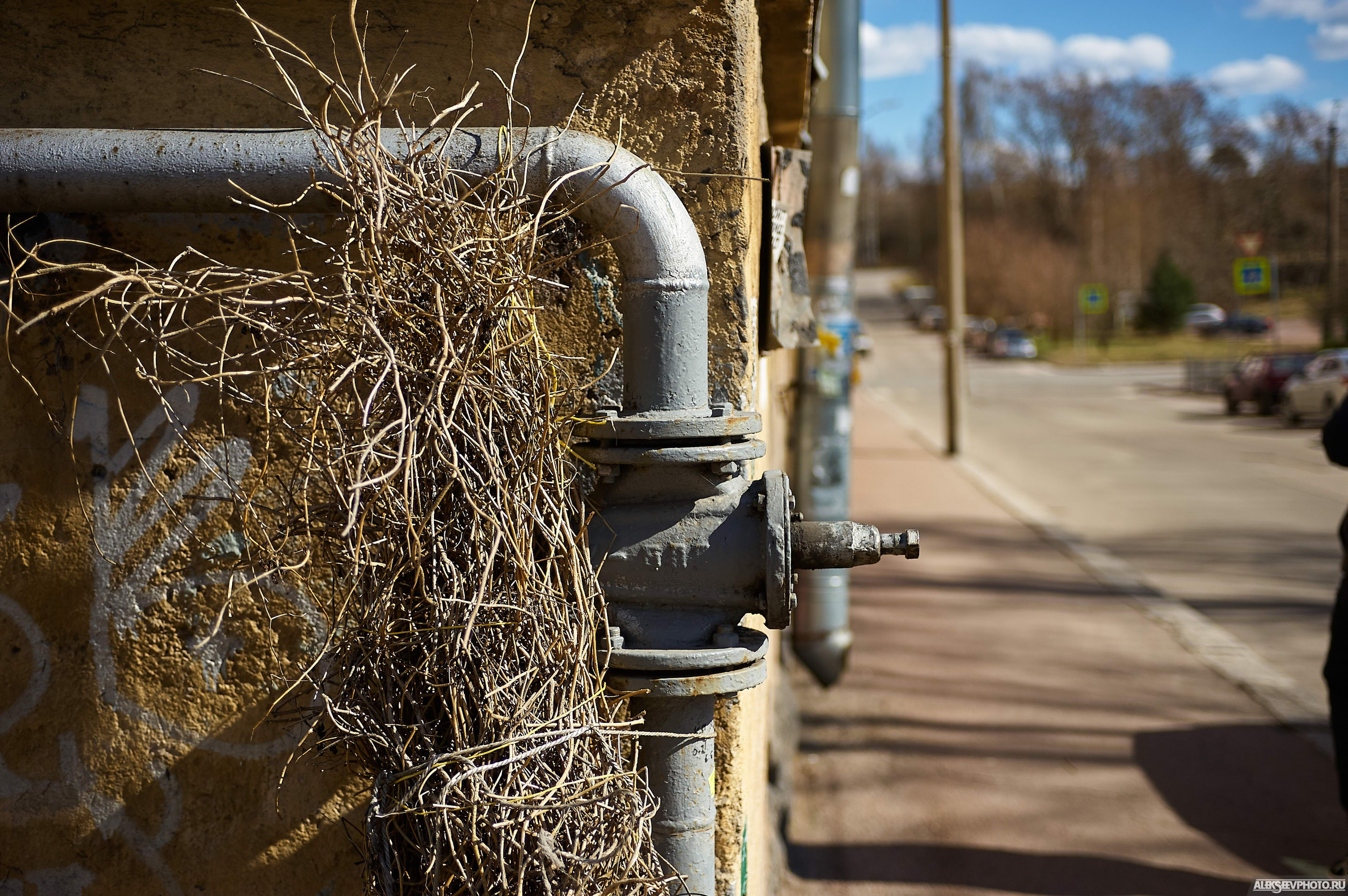 2021.05. Фотограф Алексей Алексеев