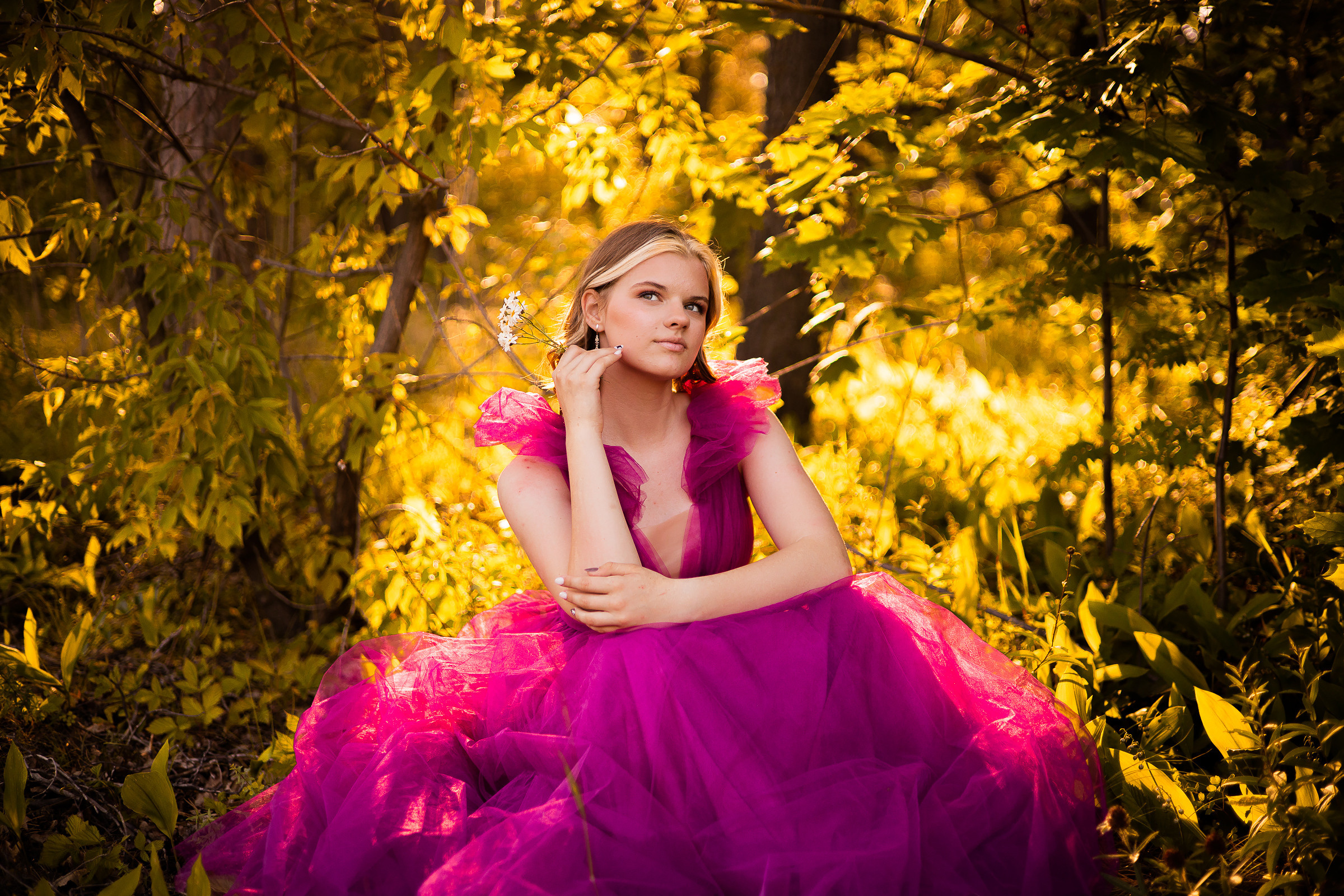 Волшебный лес