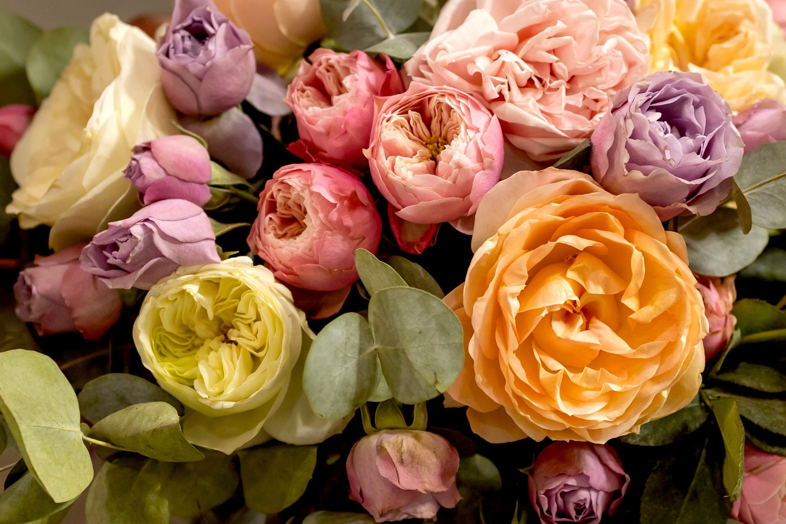 Цветы-Экспо 2024. Фотосессии и репортаж — Фотограф в Москве — Рина Серёгина