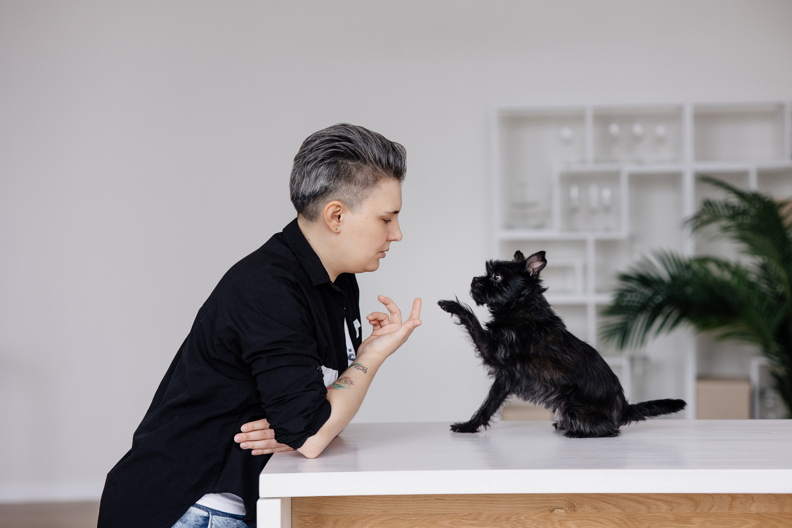 Анастасия, зоопсихолог. Свадебный и семейный фотограф Екатерина Иванова