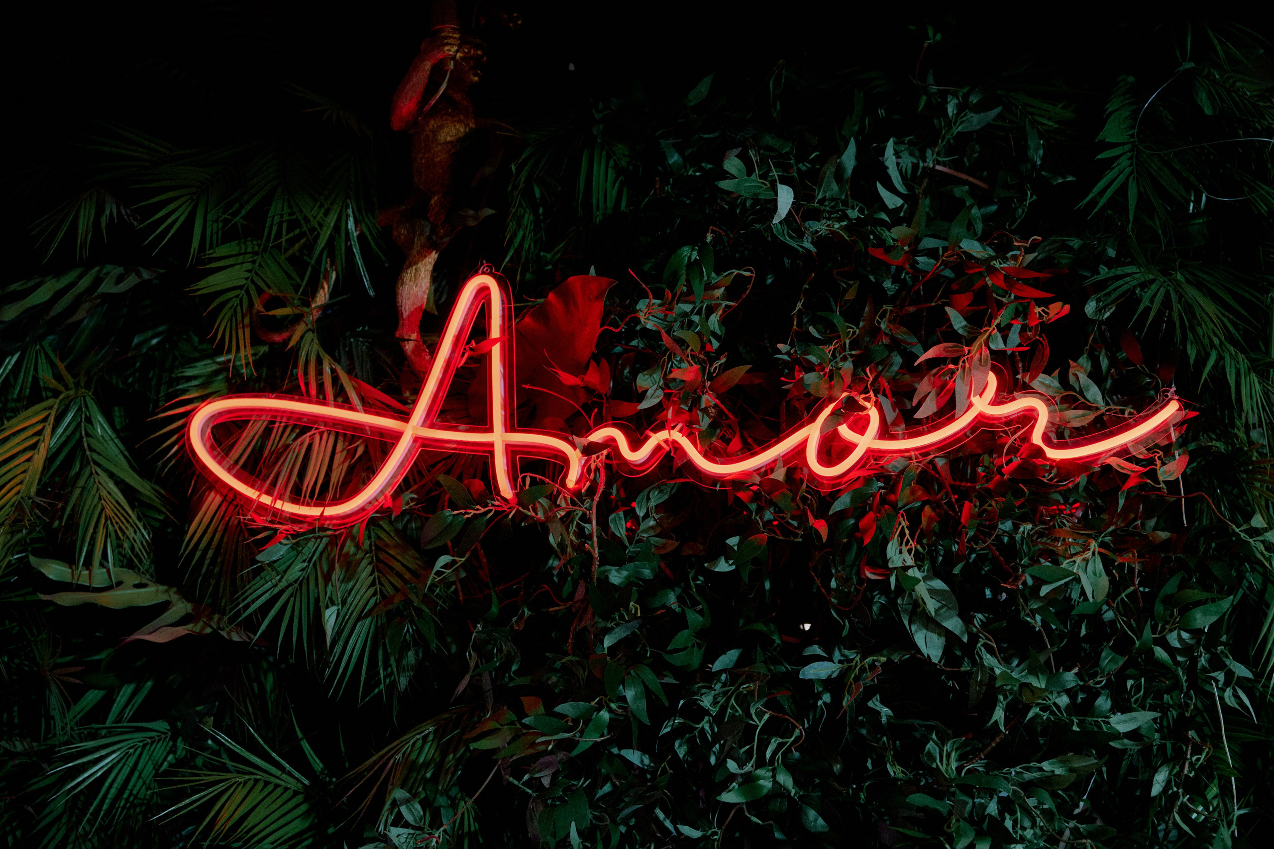 ПЕ-ПЕ-ПЕ. Фотограф Елена Краснопевцева