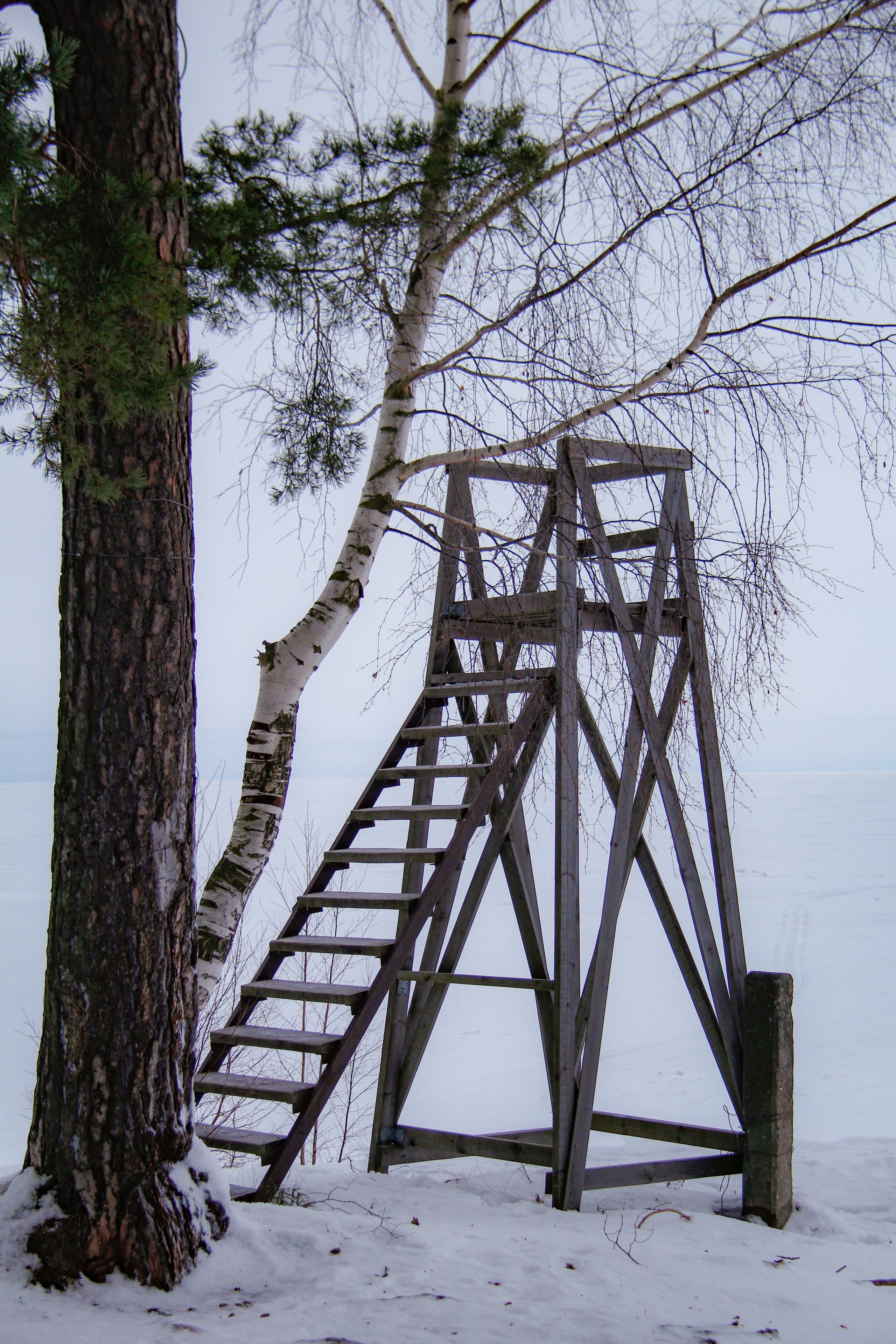 Зимние ветры дуют с озера. Натали. Janie valde |photographer & visual artist