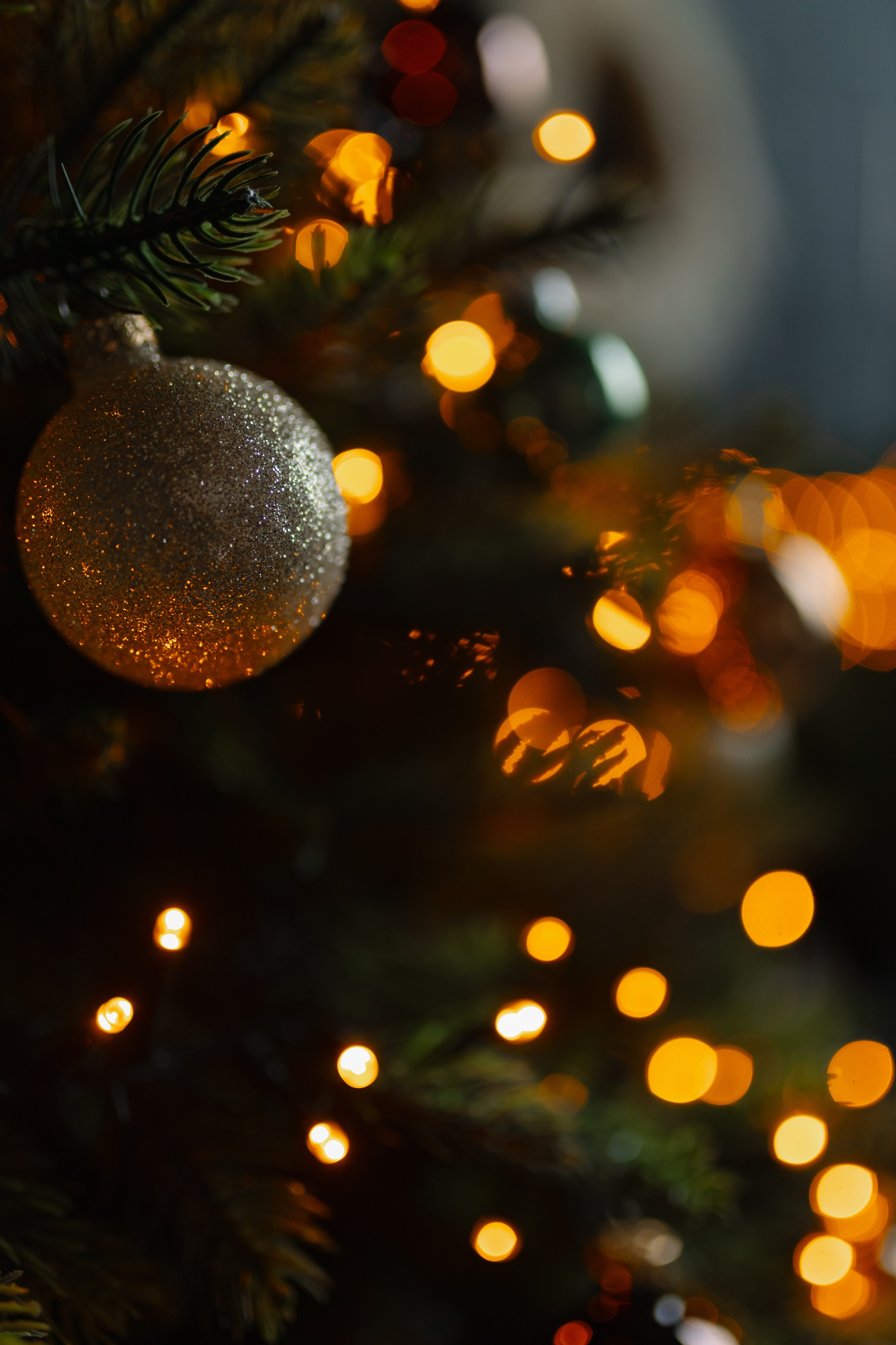 Семейная новогодняя съемка. Свадебный фотограф в Минске/Беларуси Сергей Спиридонов