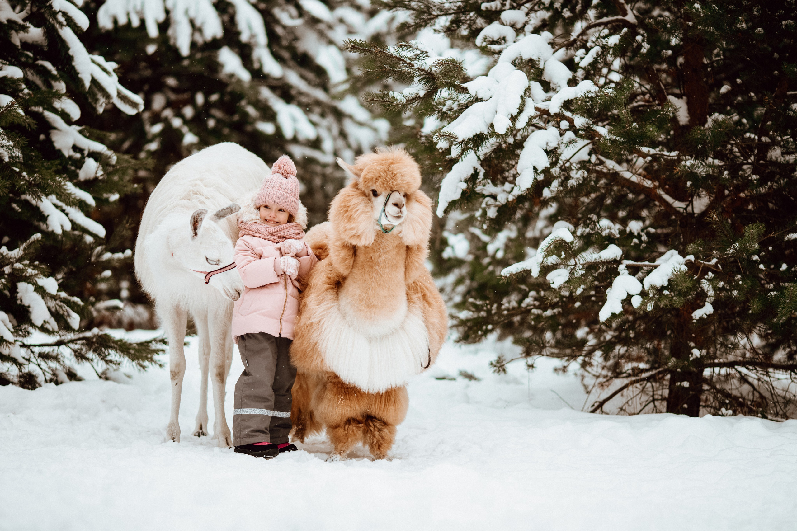Семейные съемки. Алина Малышева, свадебный и семейный фотограф Москва