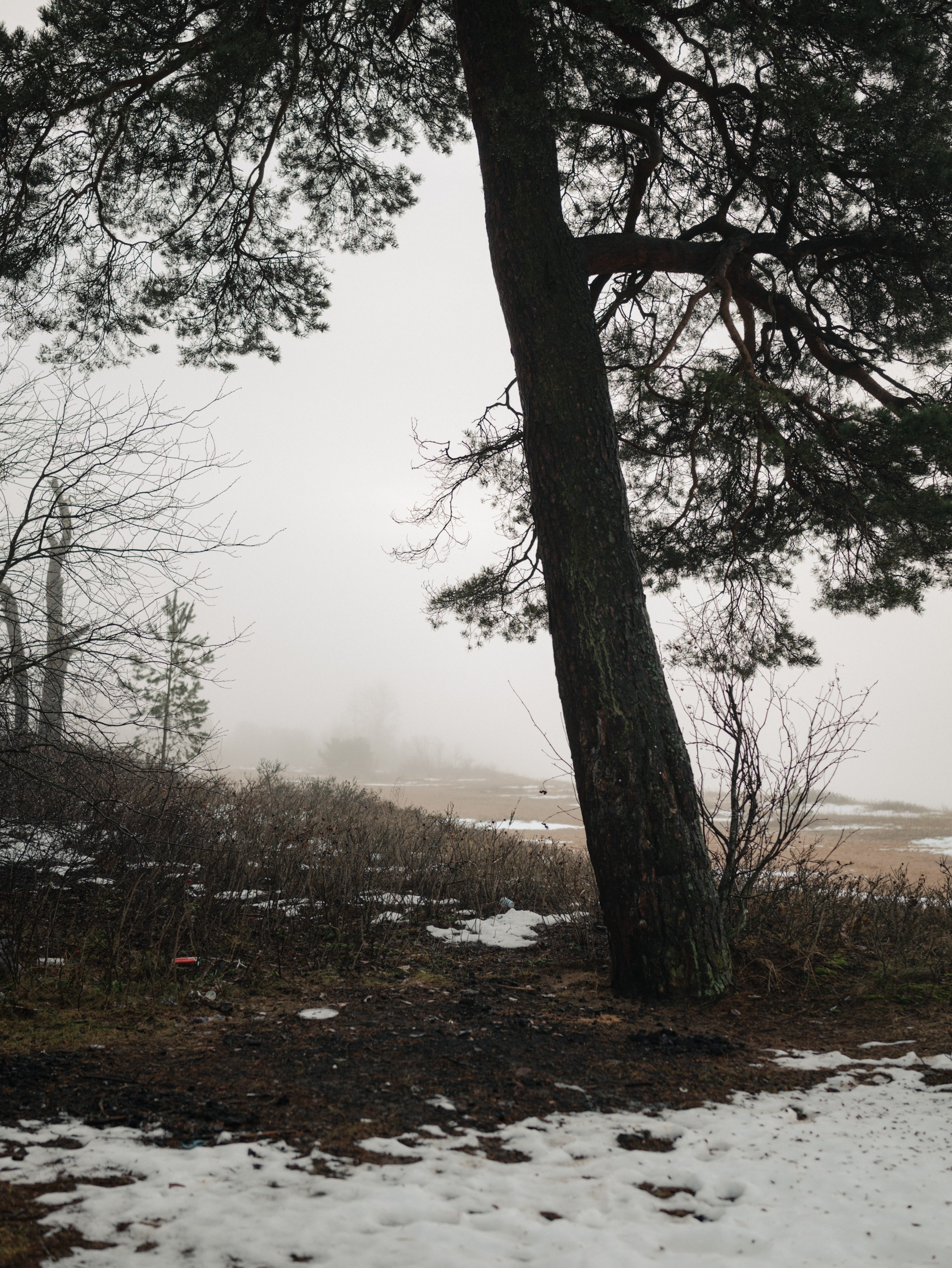Случайное — неслучайное. Фотограф Ника Лиепа