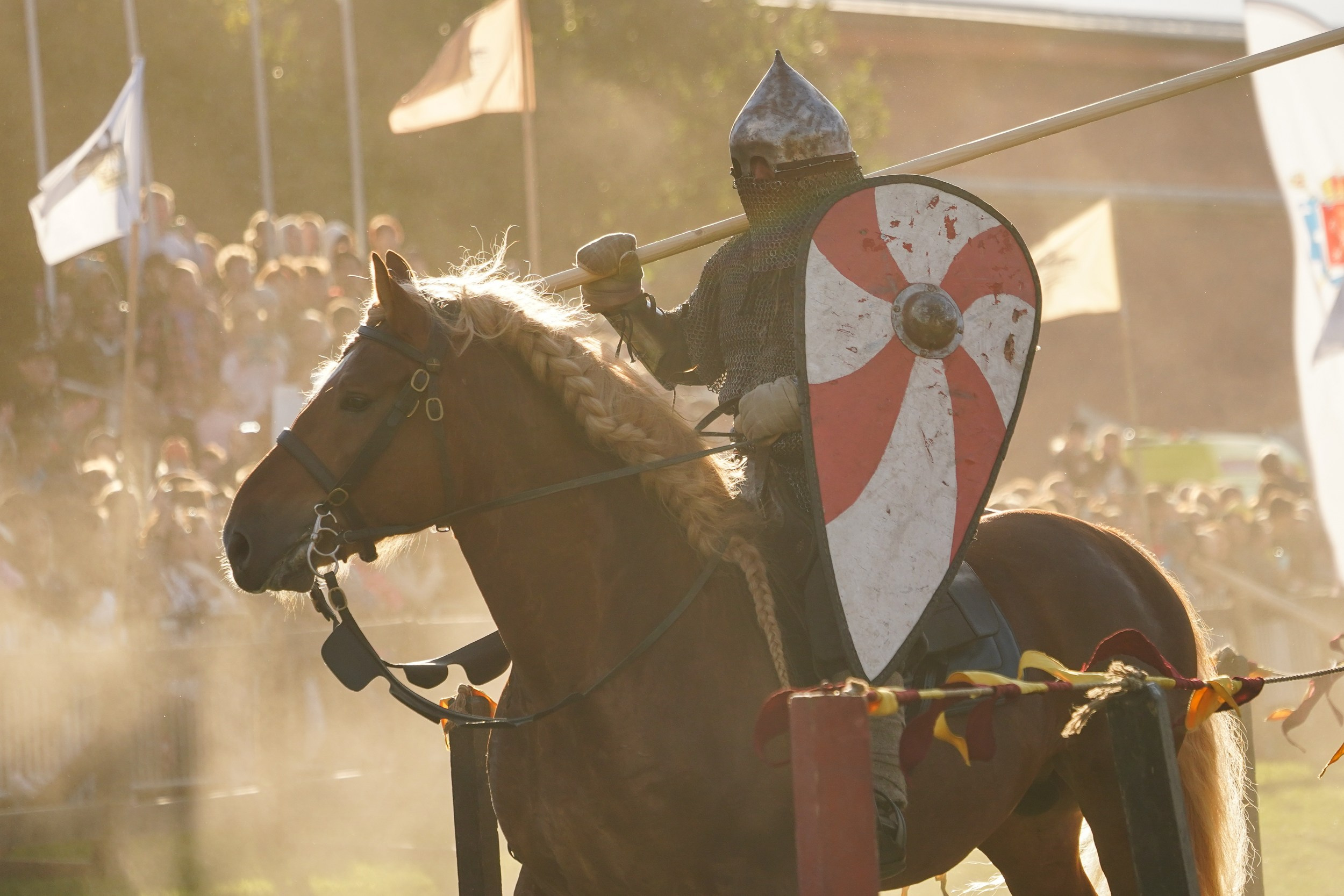 Рыцарский турнир в рамках фестиваля «Битва на Неве» Санкт-Петербург 2024 г. Фотограф-анималист, портретный фотограф в Чебоксарах Мария Садыкова