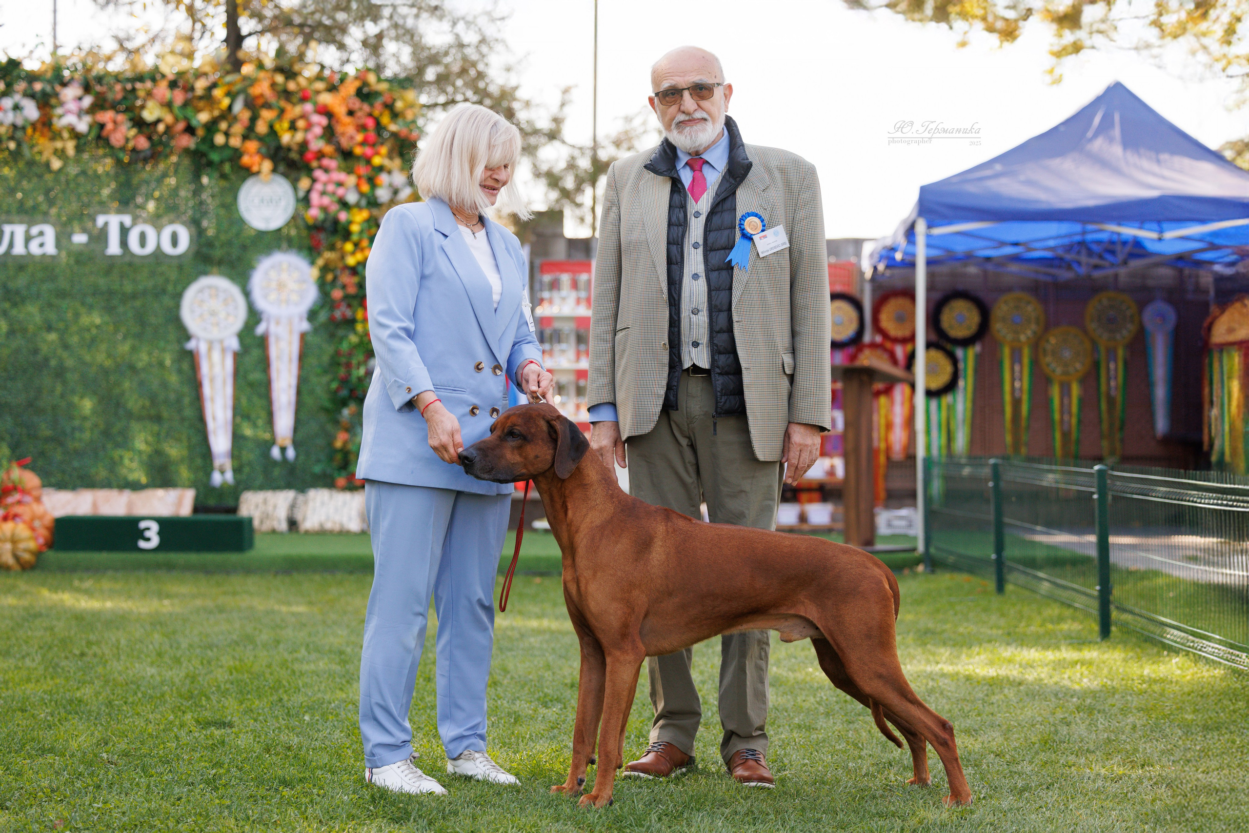 Бишкек 3х CACIB 26-28.09.2025. Фотограф-анималист Юлия Германика