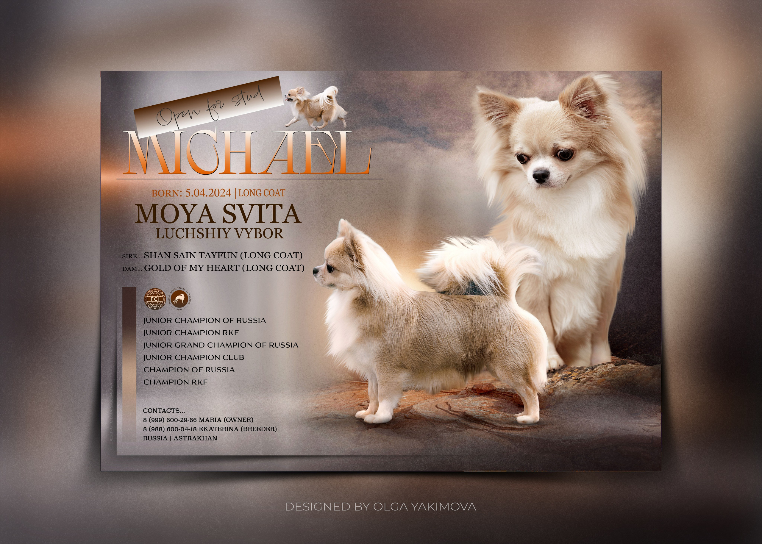 Animal presentation. Фотограф