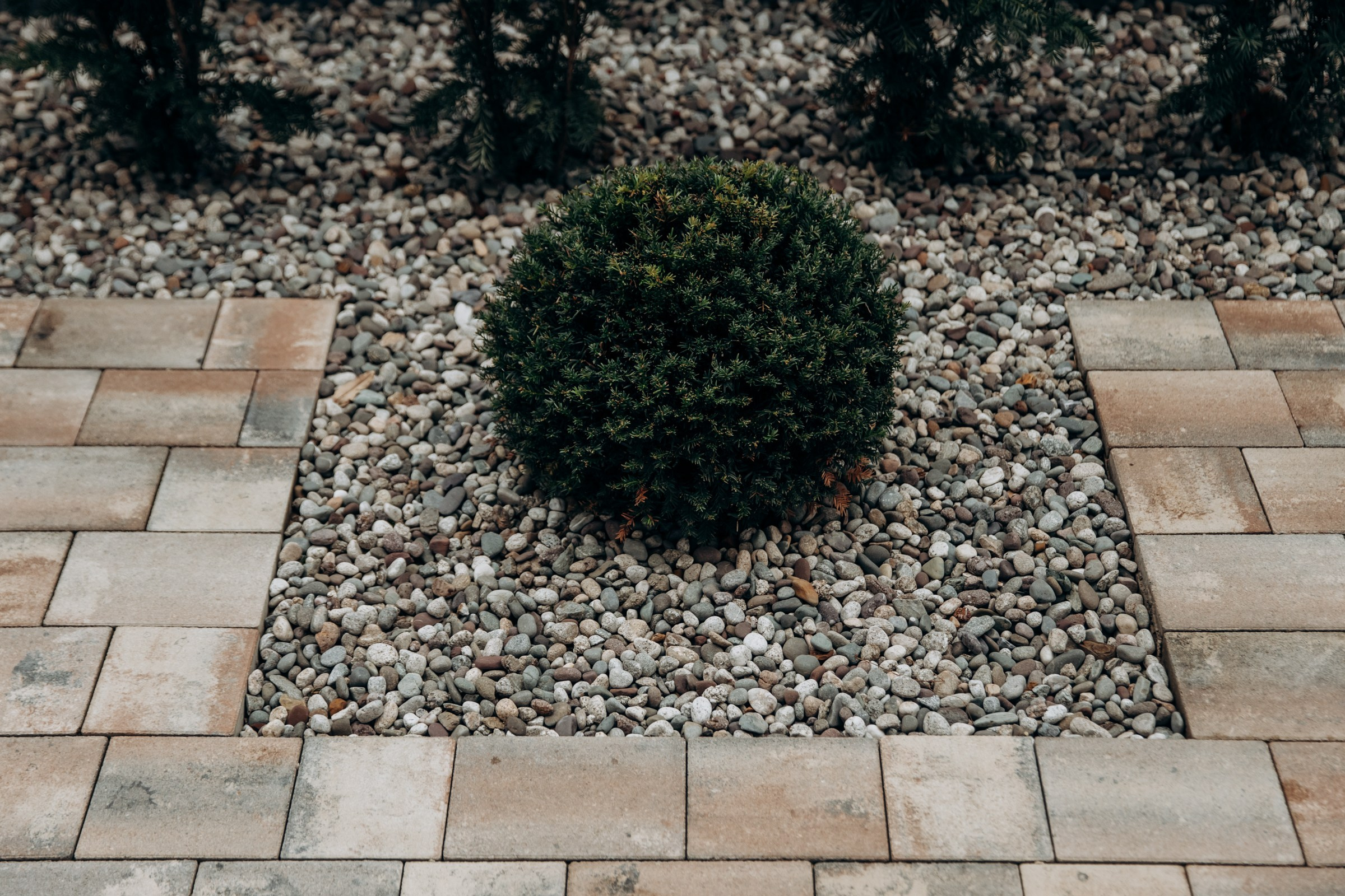 Съёмка для компании INTEQ HAUS из Москвы. Фотограф в Крыму — Федор зайцев. Свадебная, семейная и портретная съёмка. Фотографии для контента, для бизнеса. Корпоративная съёмка