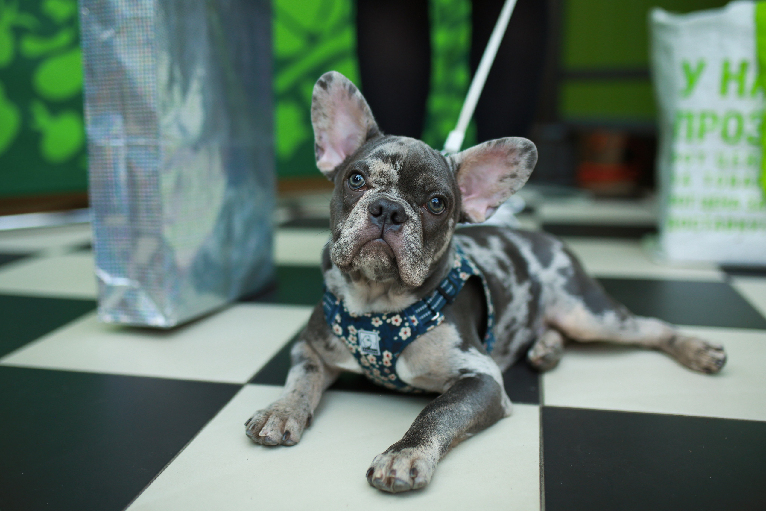 Городские события. Репортажный и портретный фотограф Полина Ершова