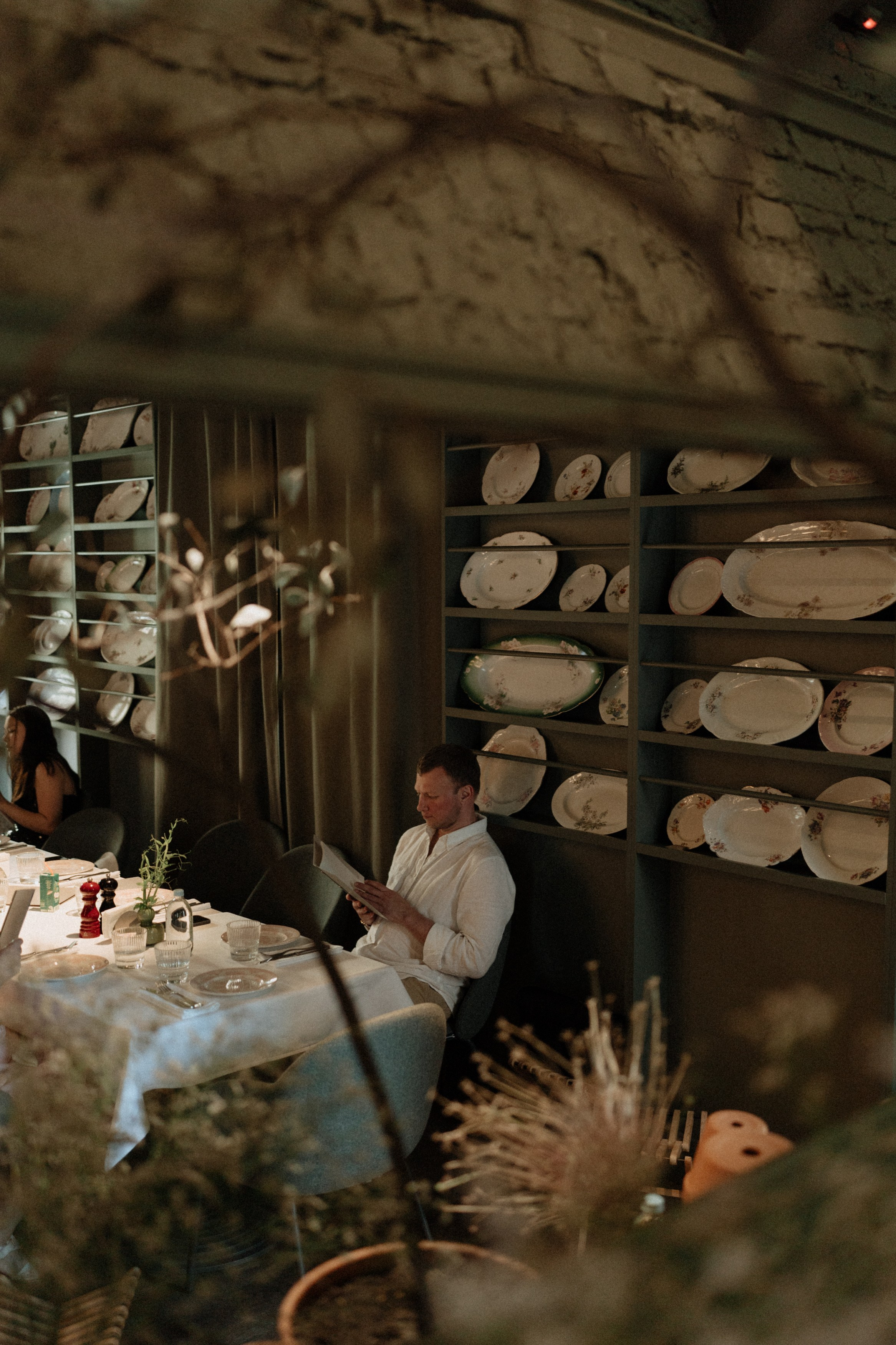 N&D, autumn S.Petersburg