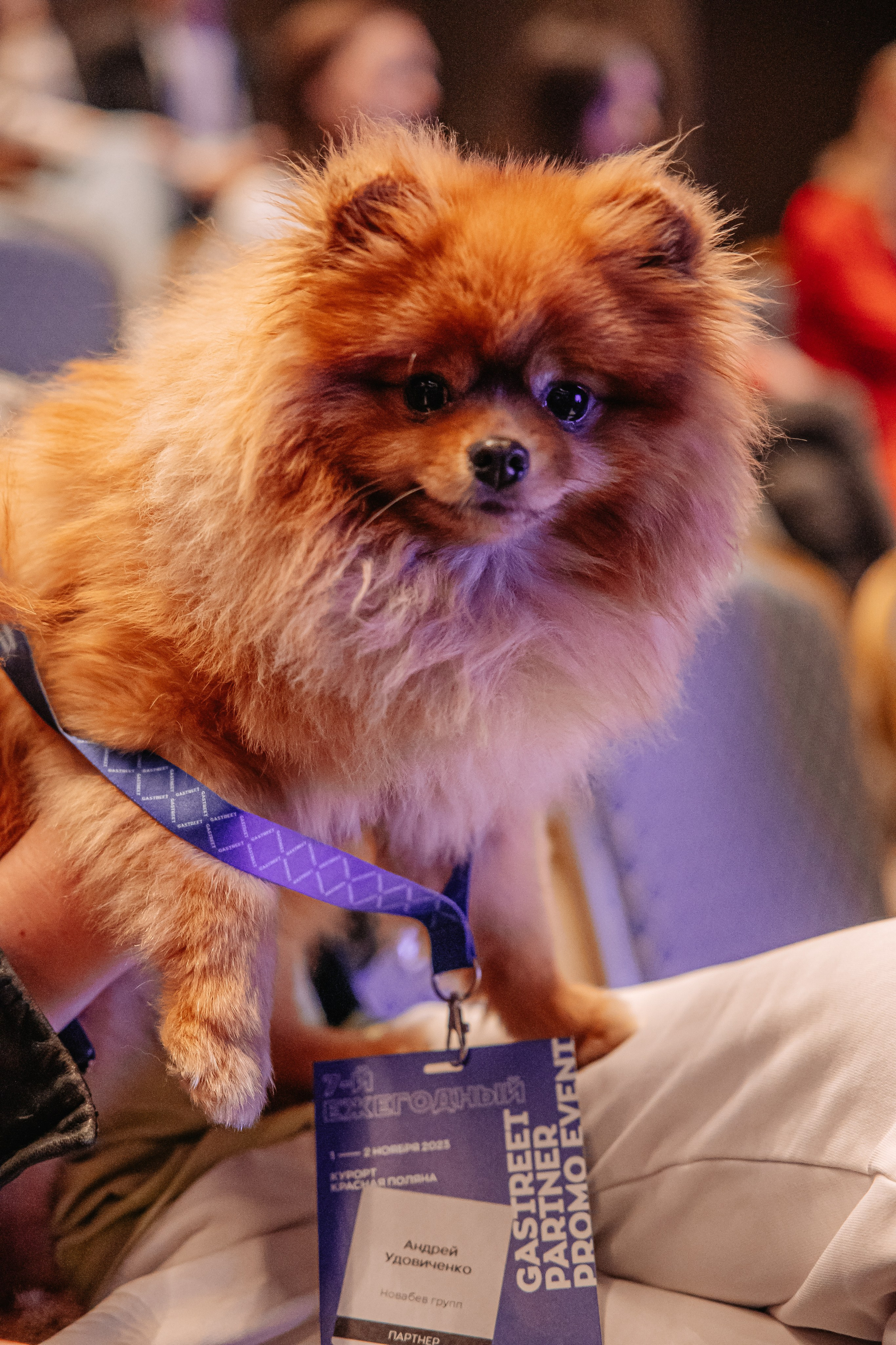 Конференции. Фотограф Аделина Raw