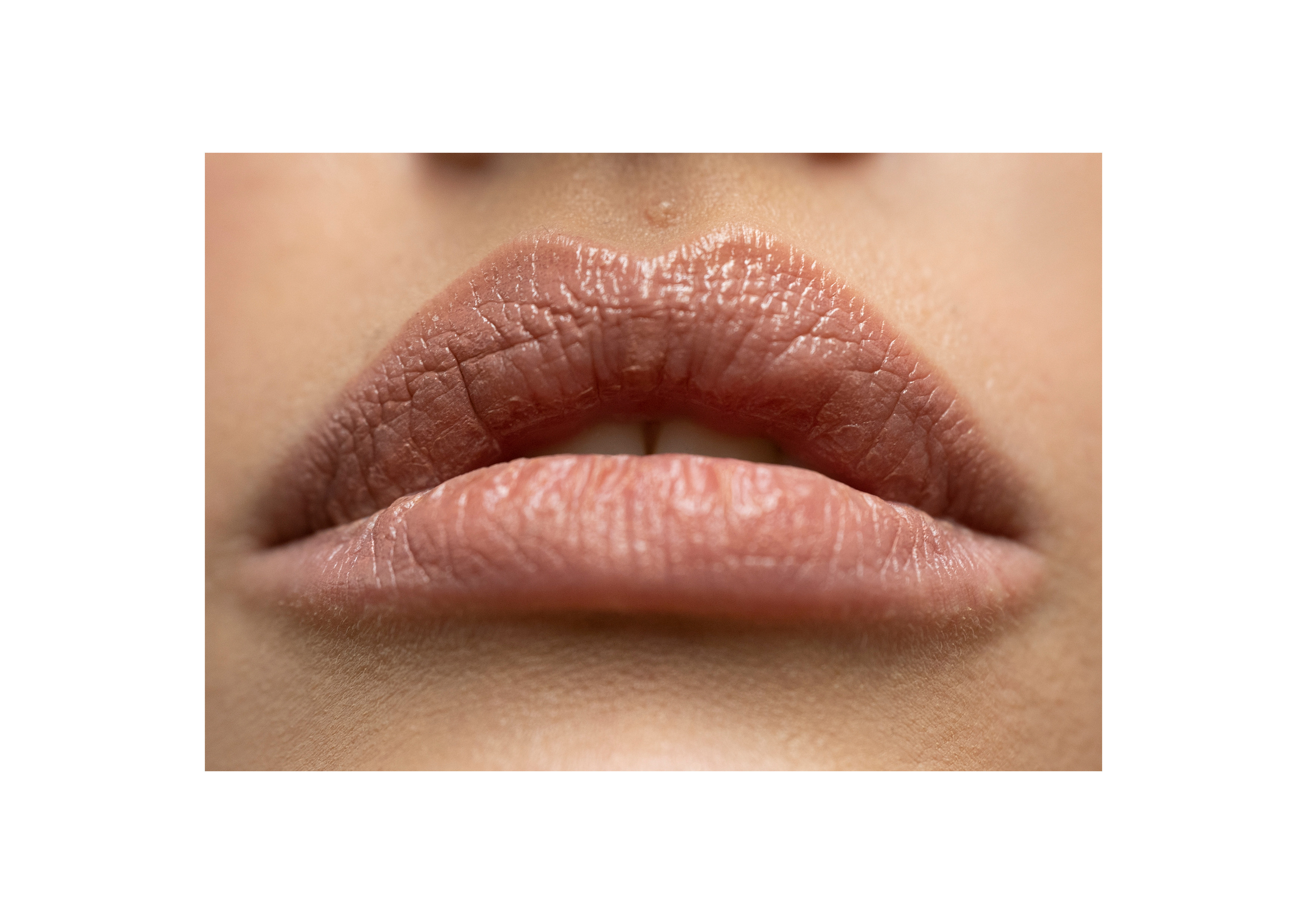 LUXURY GIFTS. Jorredi