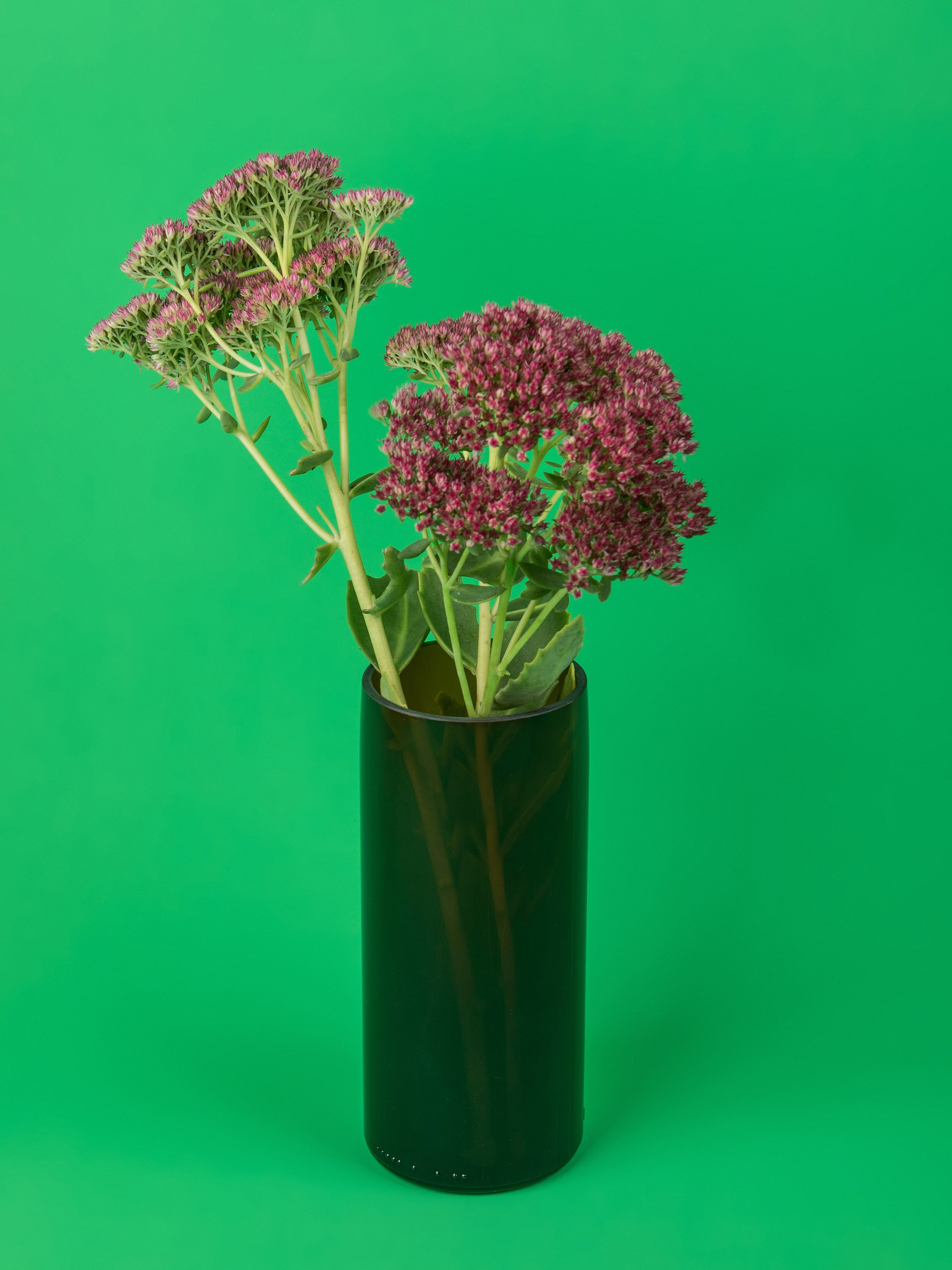 Полбутылки. Предметный и семейный фотограф в Санкт-Петербурге Катерина Стеклова