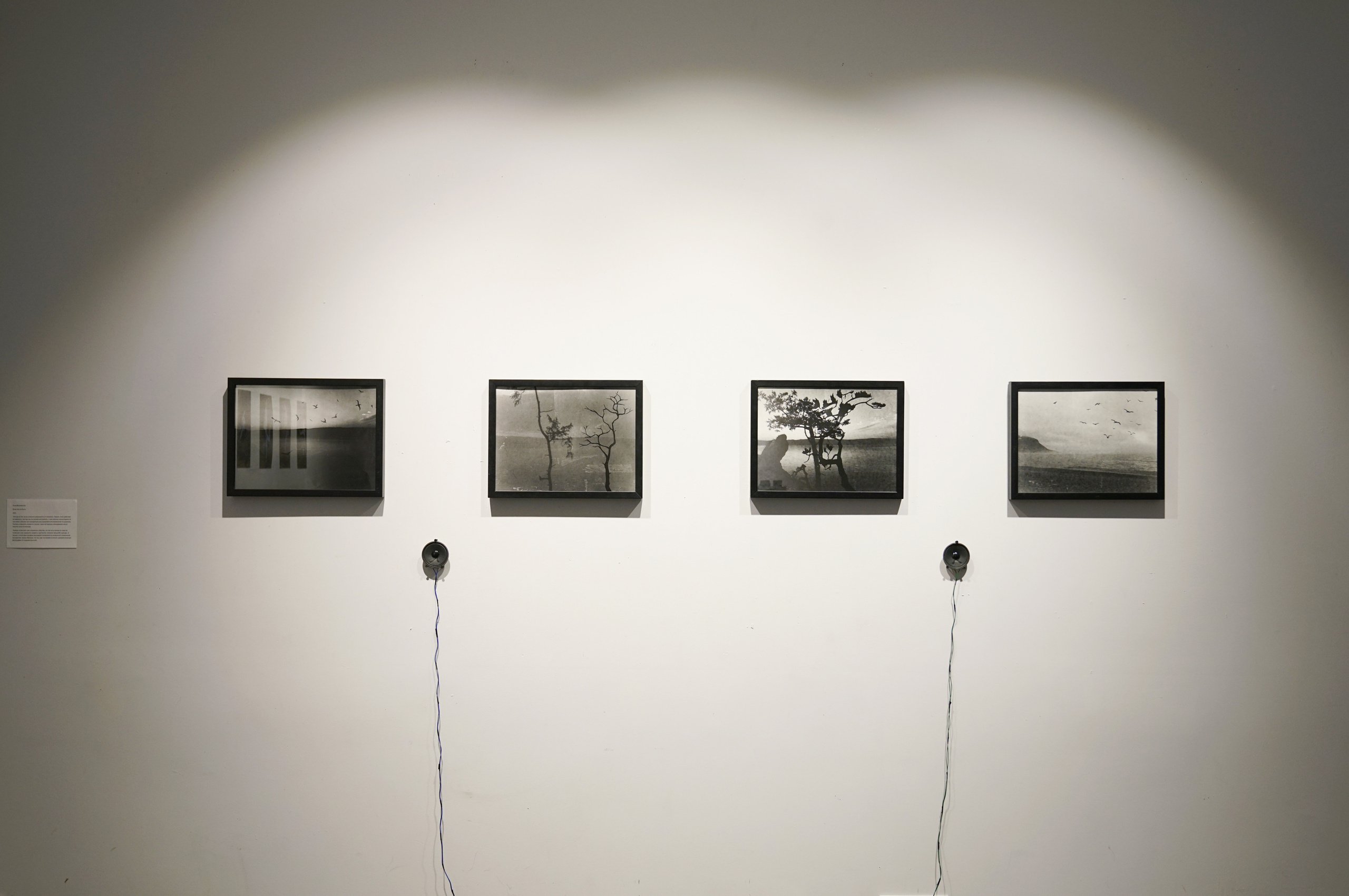 Быль или не быль. Anna Vishnevskaya