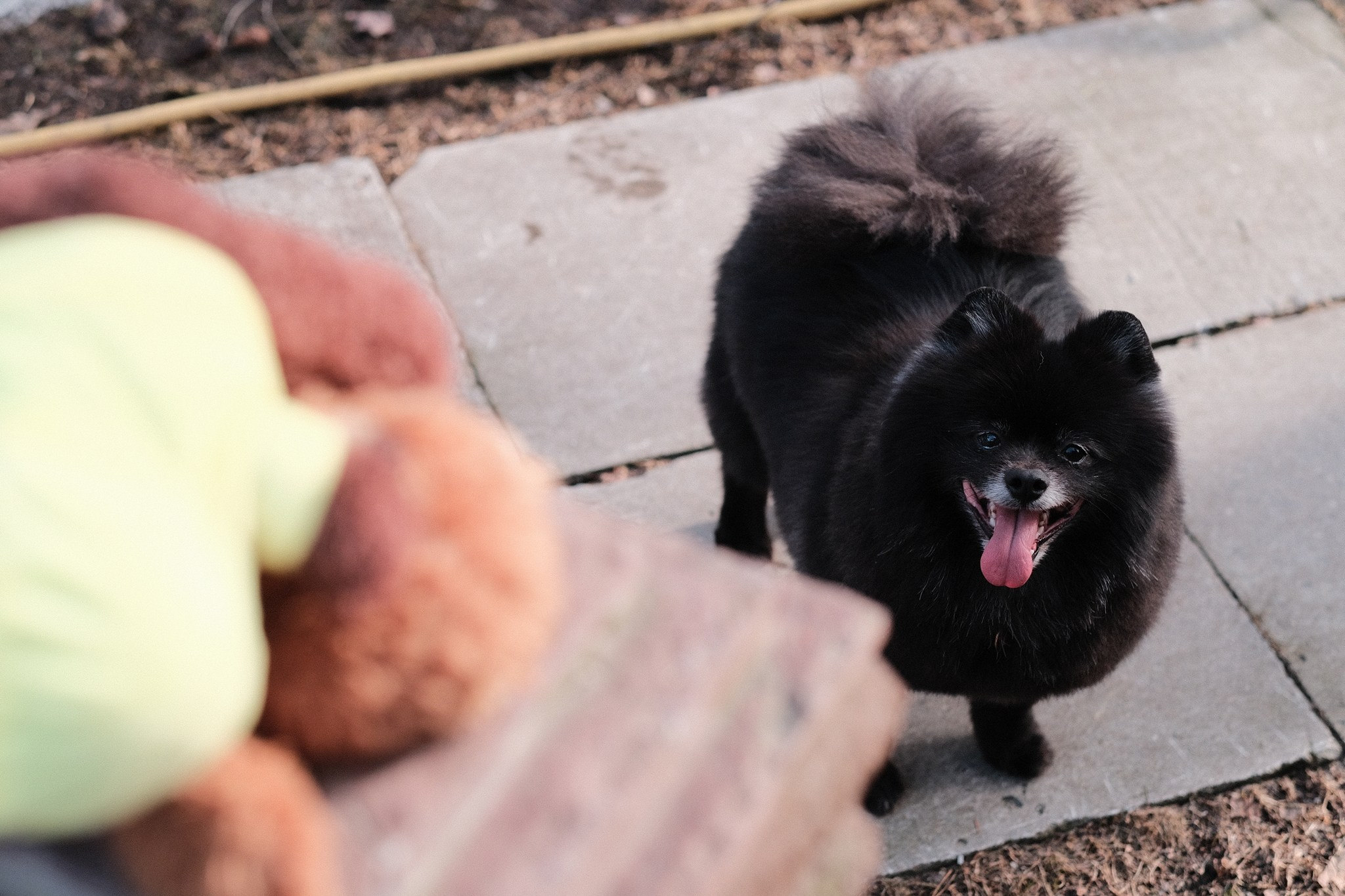 Аляска, Чарли, Пати и их люди. Дмитрий Бречалов