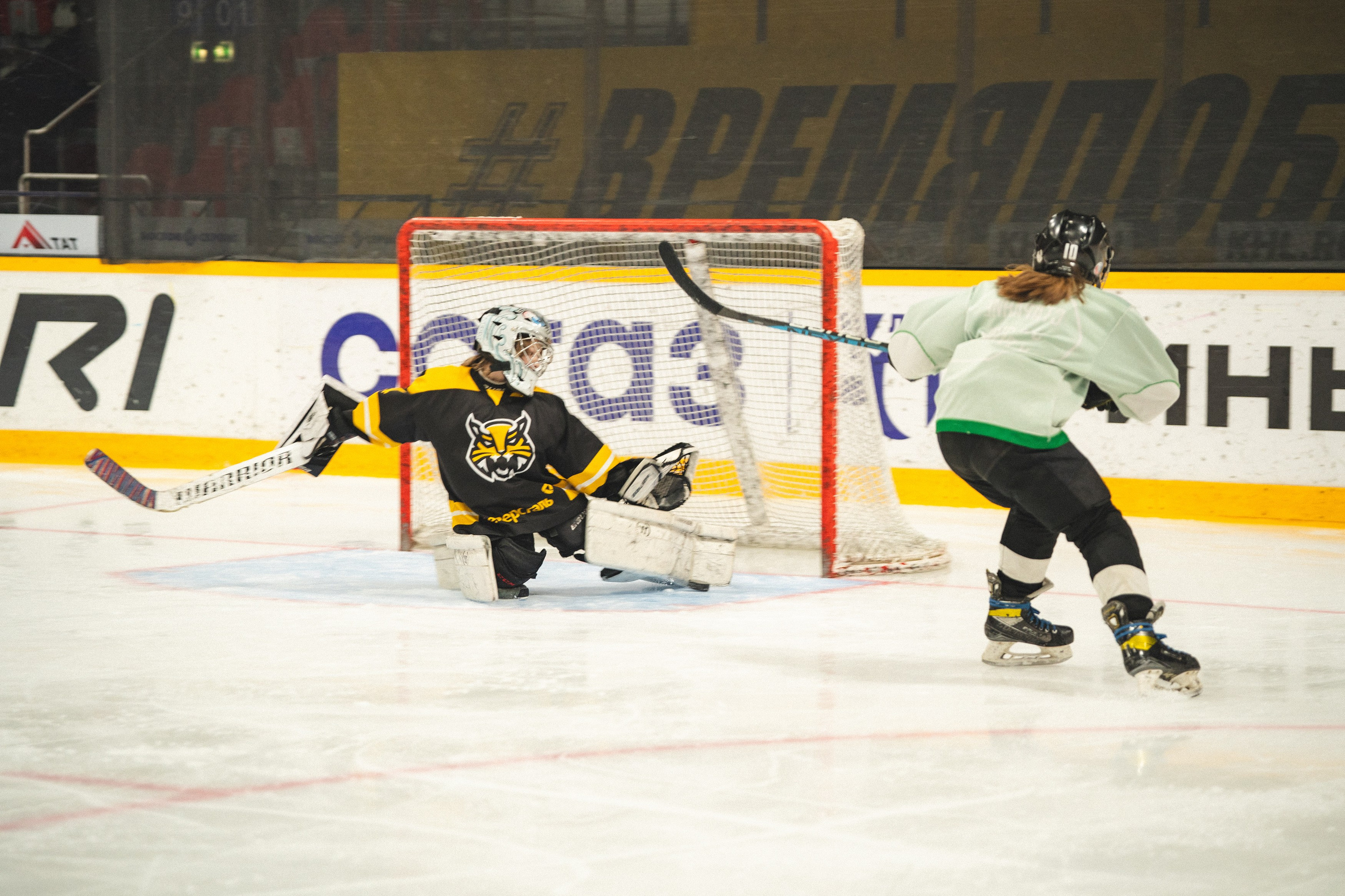 ХК Северсталь (младшая группа). Череповец. Zekons. Фото, видео, нейросети