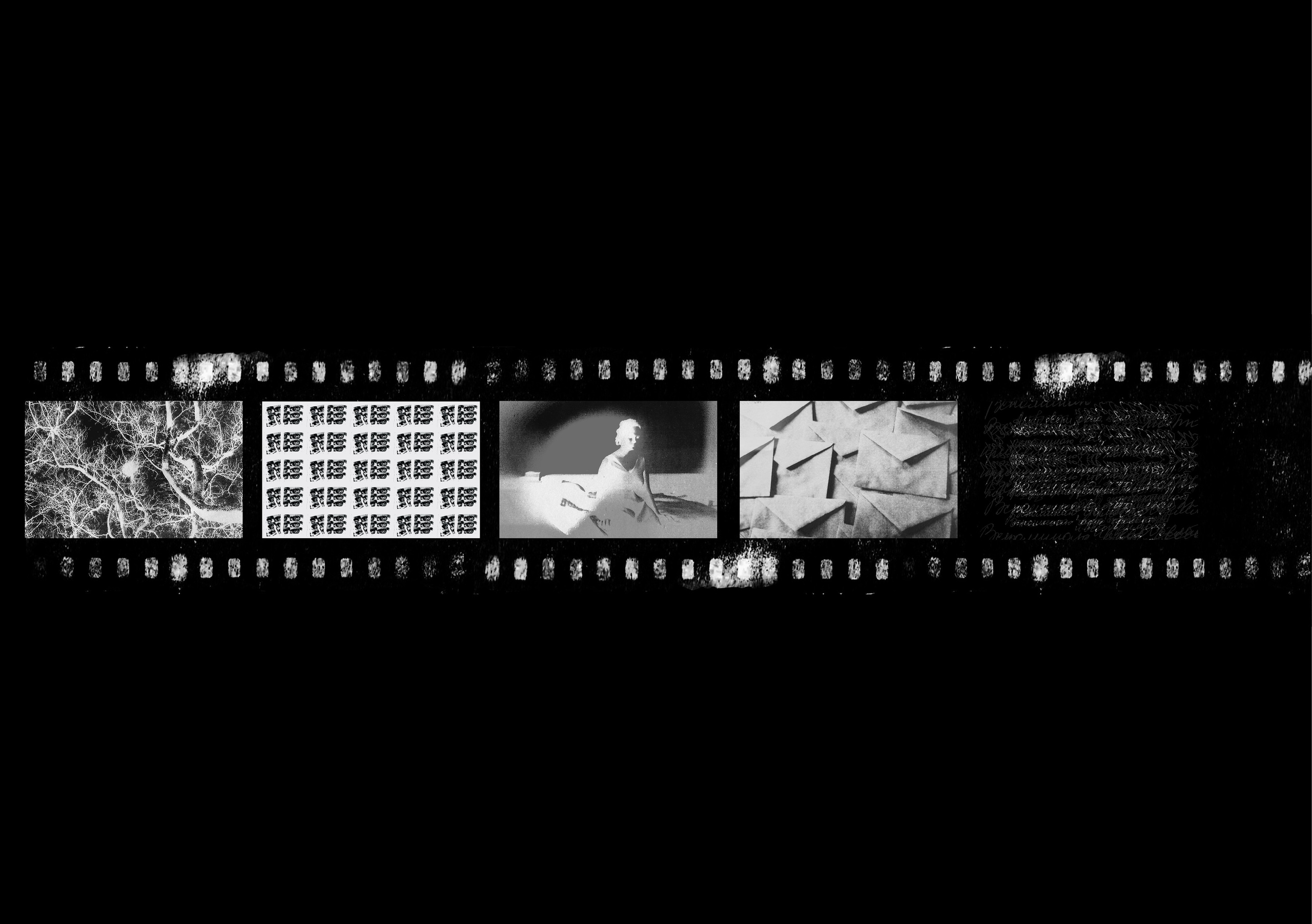 Отраженный свет. Катерина Эделева