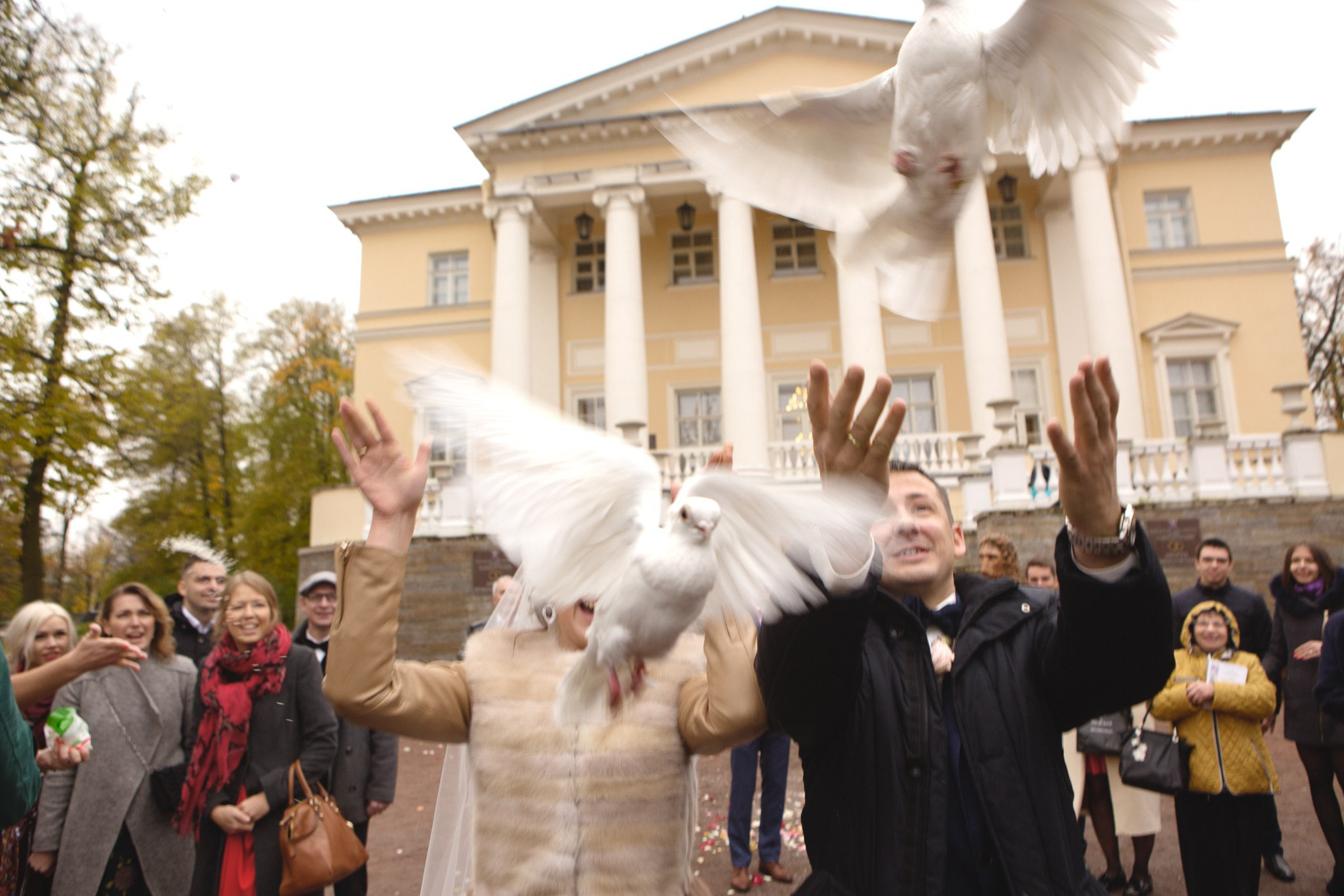 Осенняя свадьба. Фотограф Анастасия Малеева