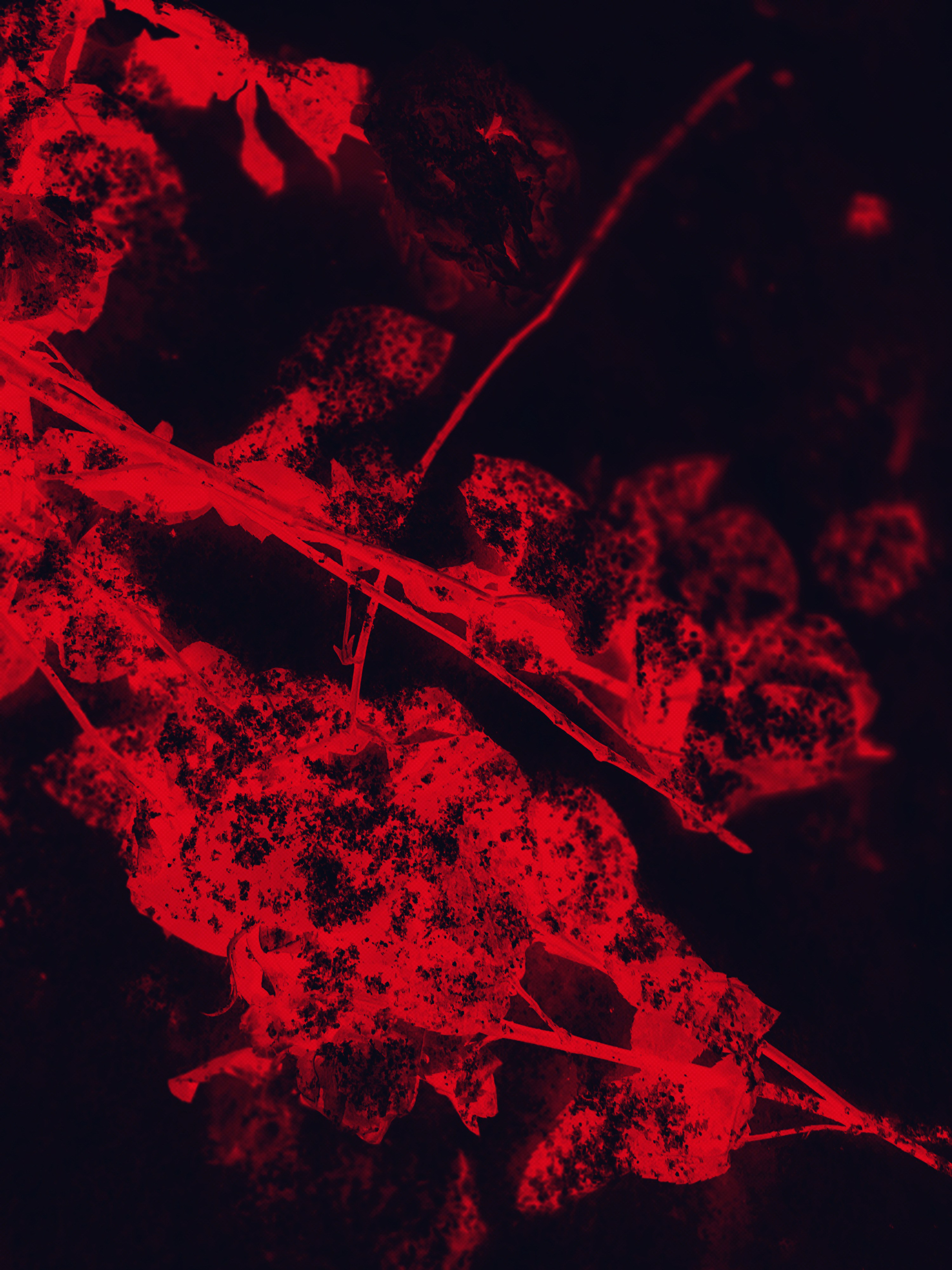 Холодный пляж. Катрин Эдельвак